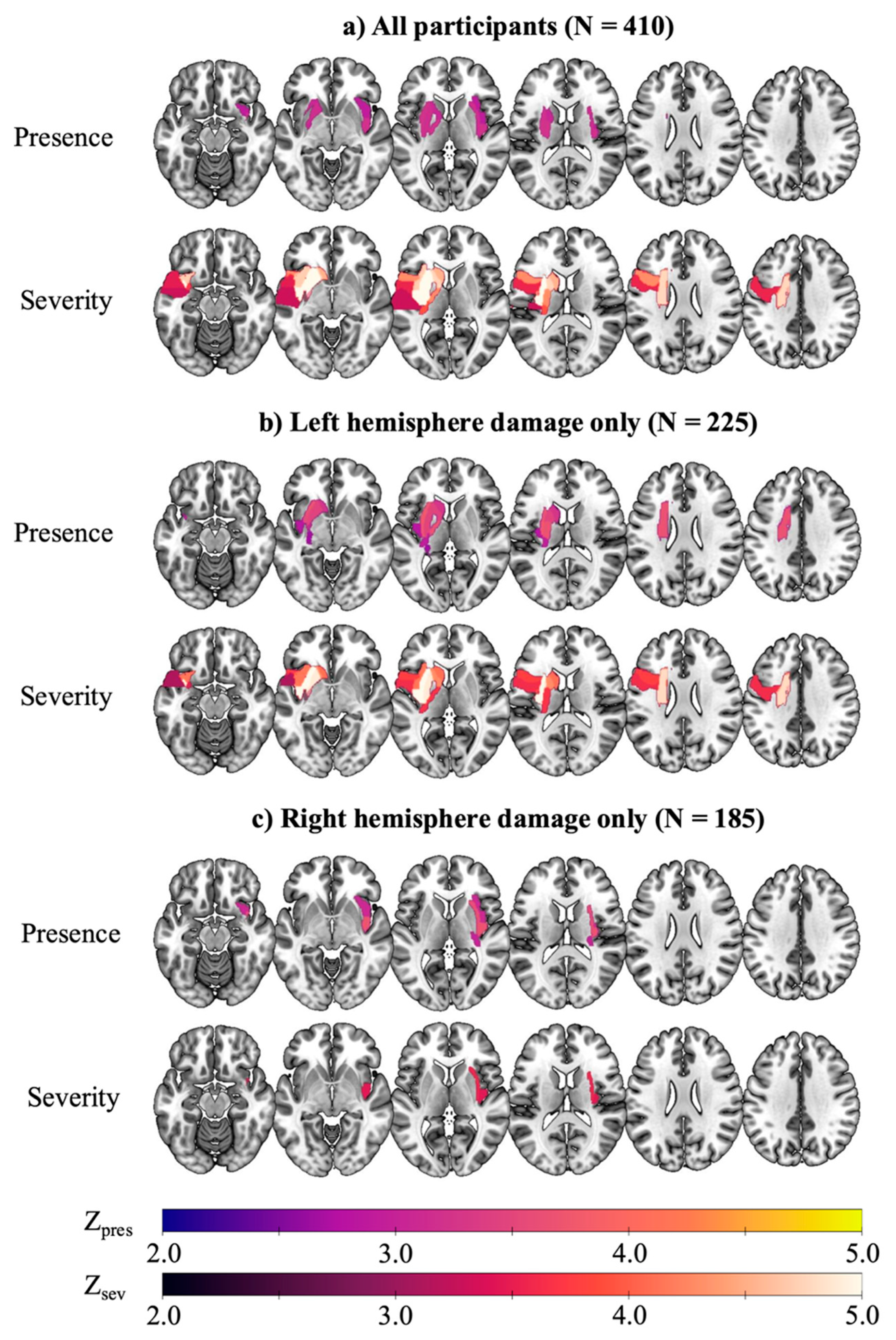 Brainsci 15 01329 g002 Brainsci 15 01329 g002