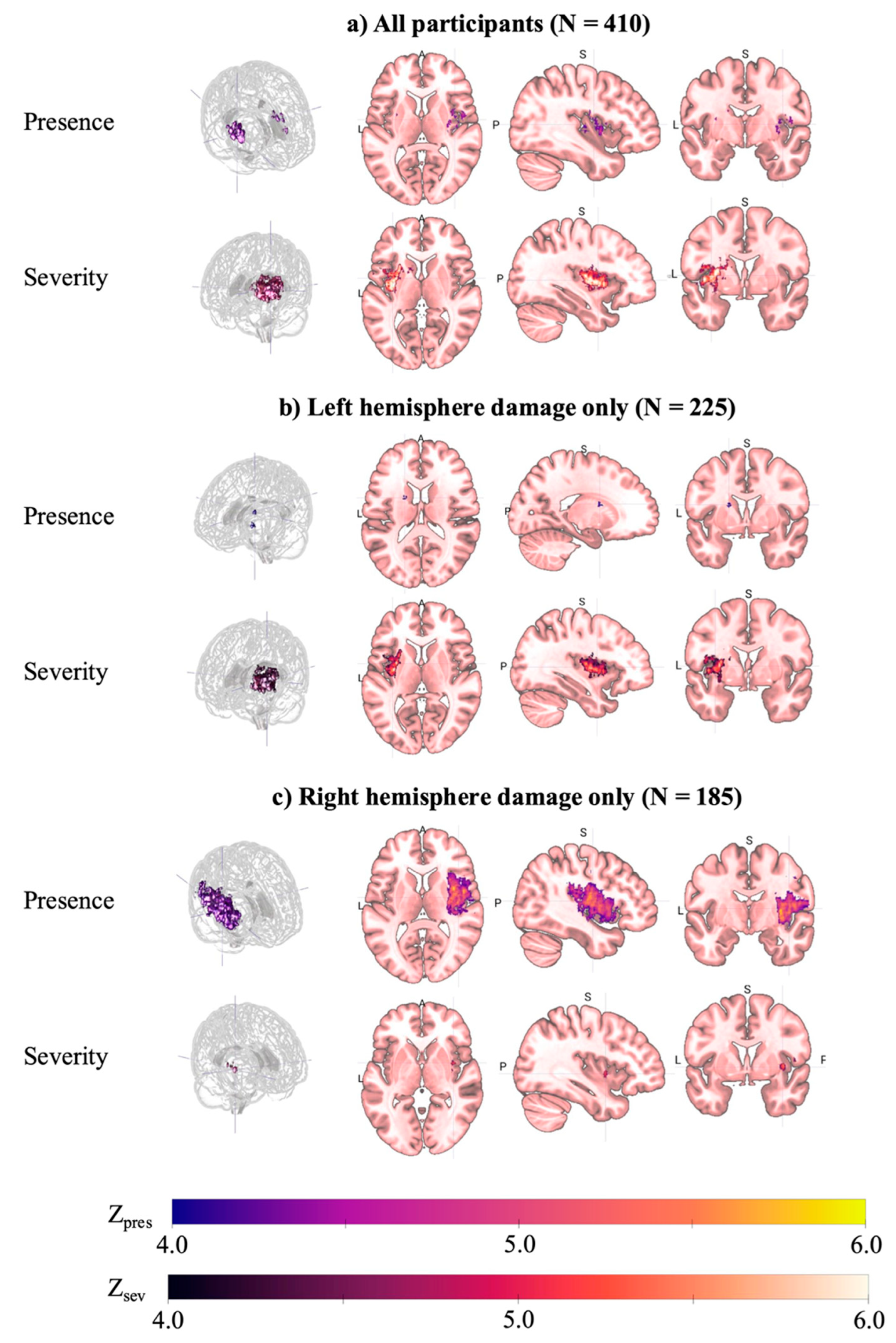 Brainsci 15 01329 g003 Brainsci 15 01329 g003