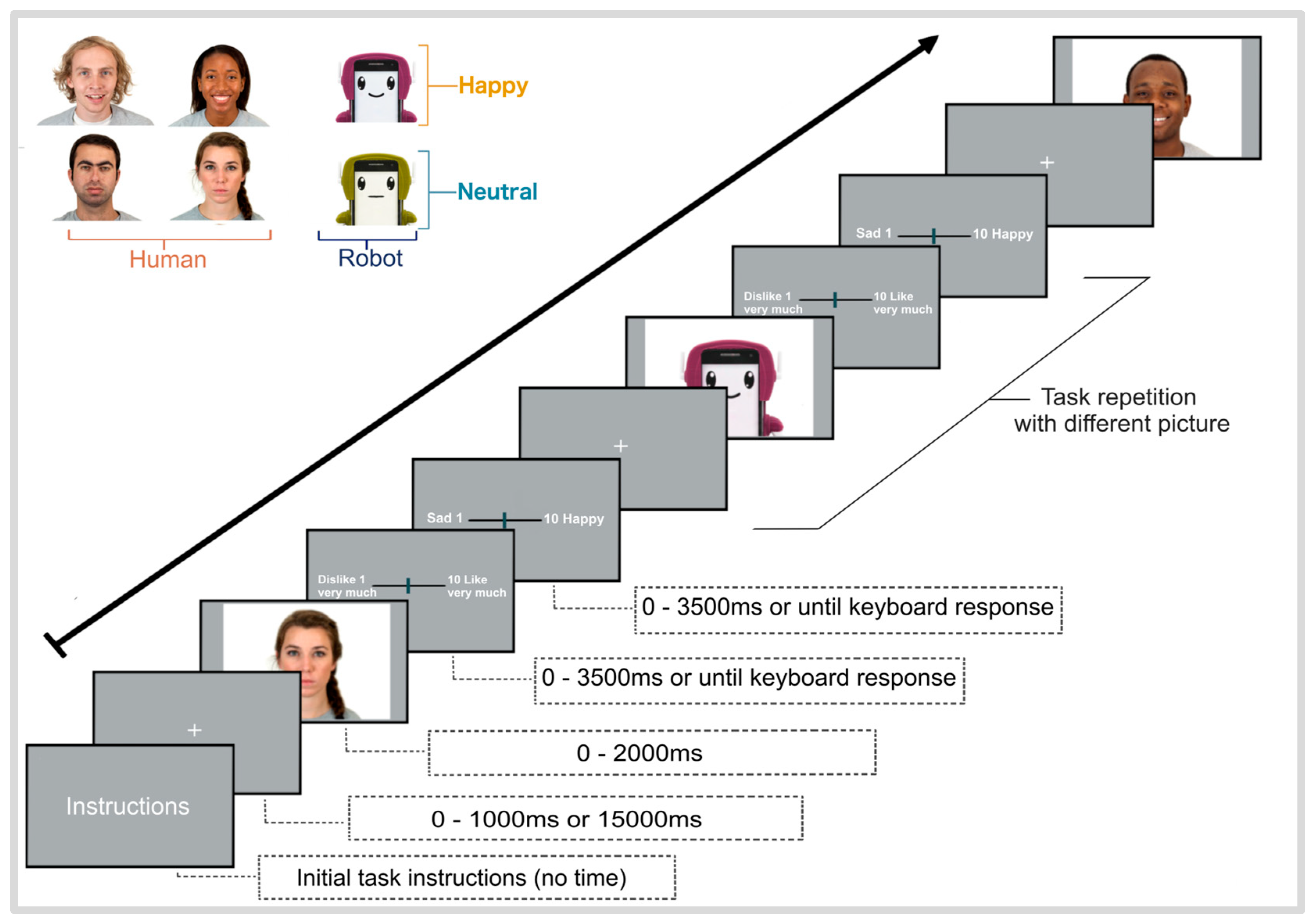 Brainsci 16 00009 g001