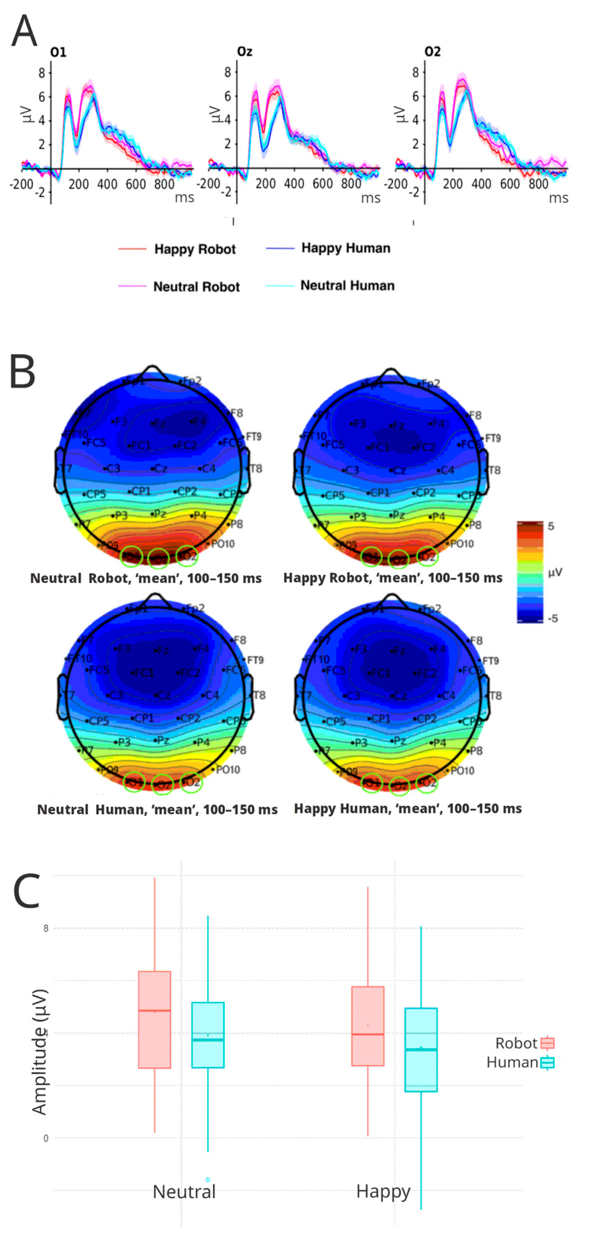 Brainsci 16 00009 g004