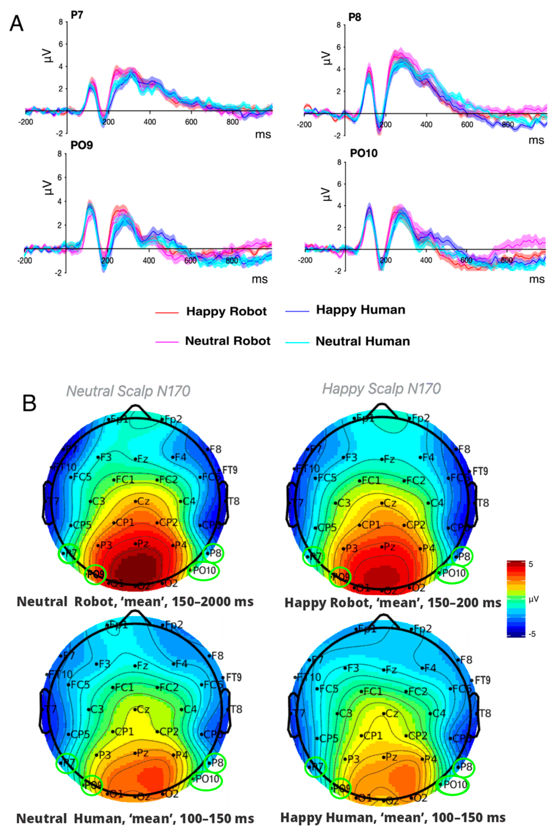 Brainsci 16 00009 g005