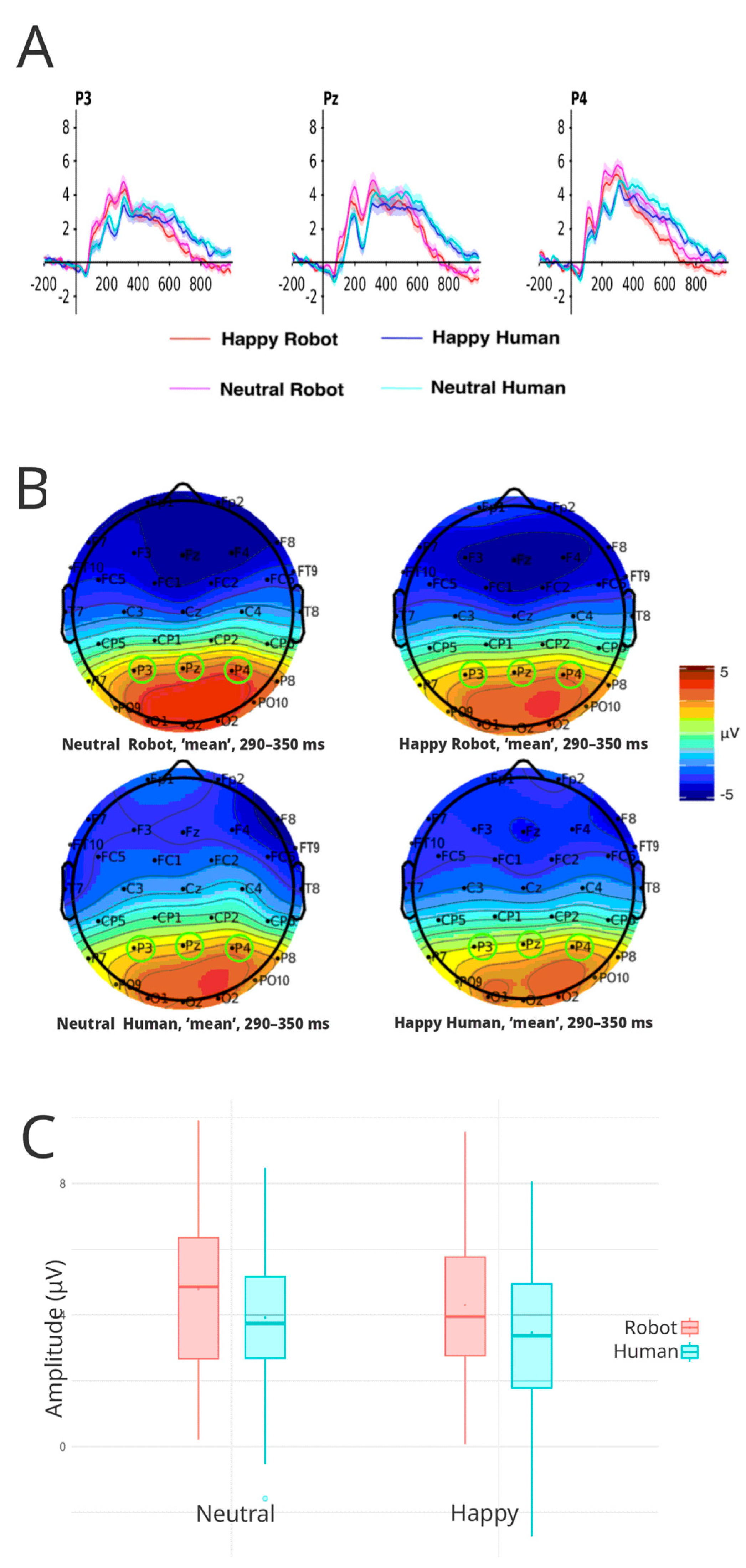 Brainsci 16 00009 g006