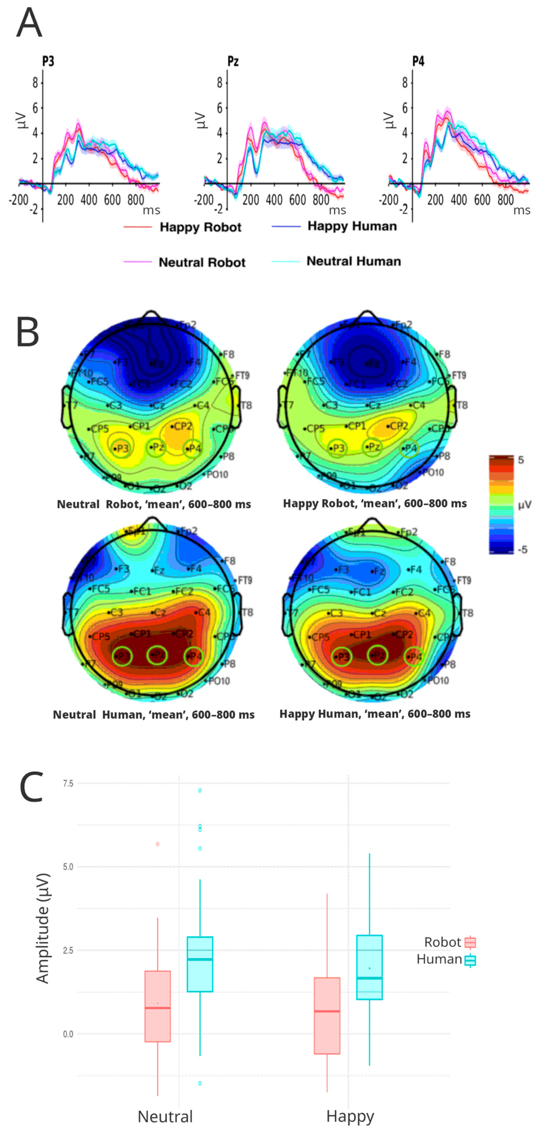 Brainsci 16 00009 g007