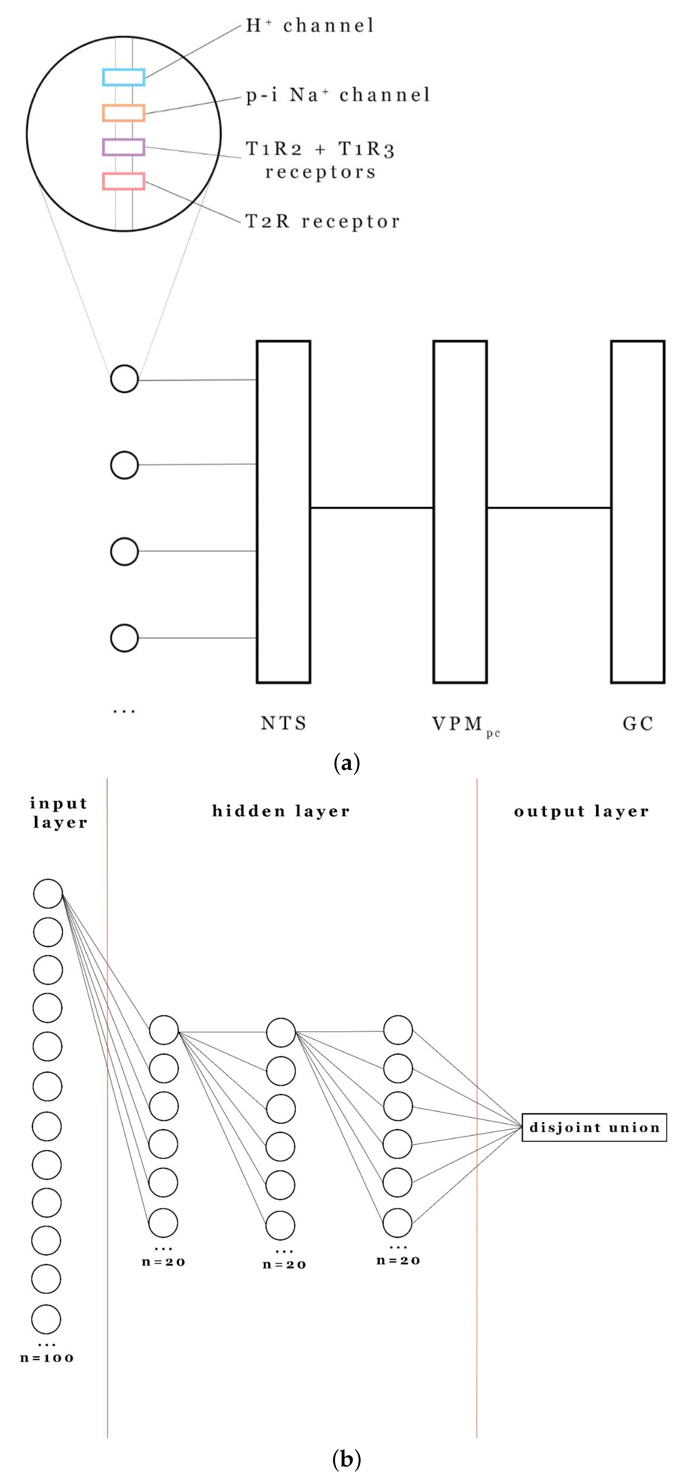 Brainsci 16 00010 g0a1 Brainsci 16 00010 g0a1