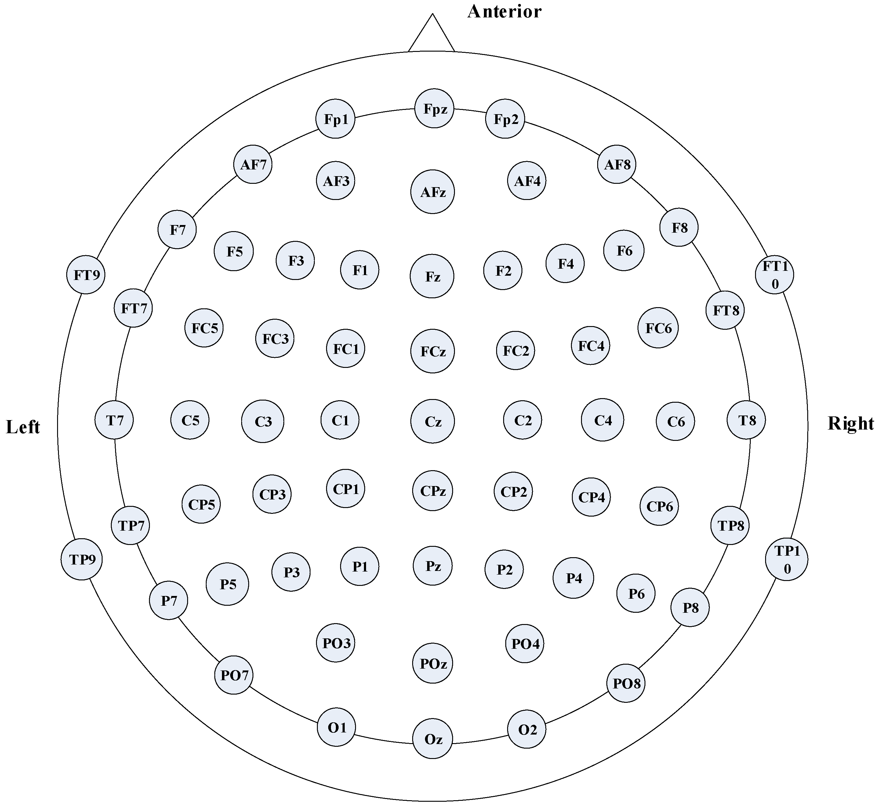 Brainsci 16 00011 g001