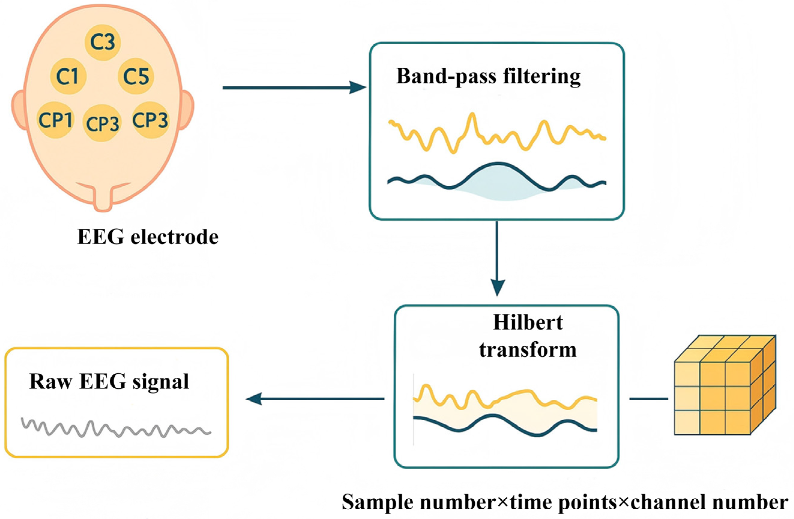 Brainsci 16 00011 g004
