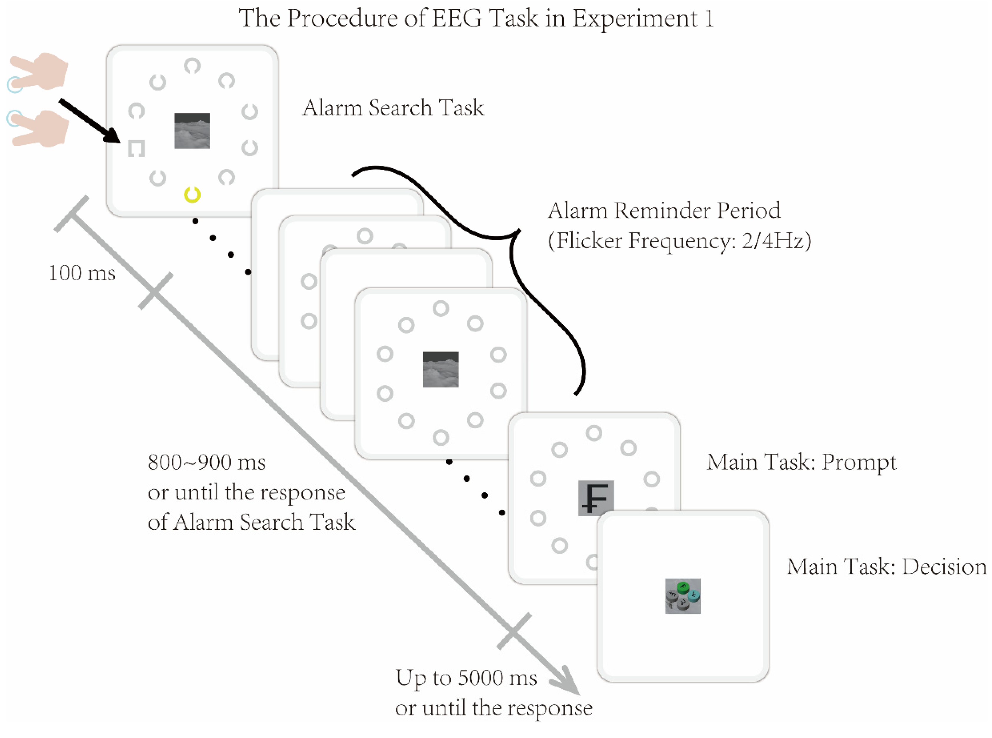 Brainsci 16 00012 g002
