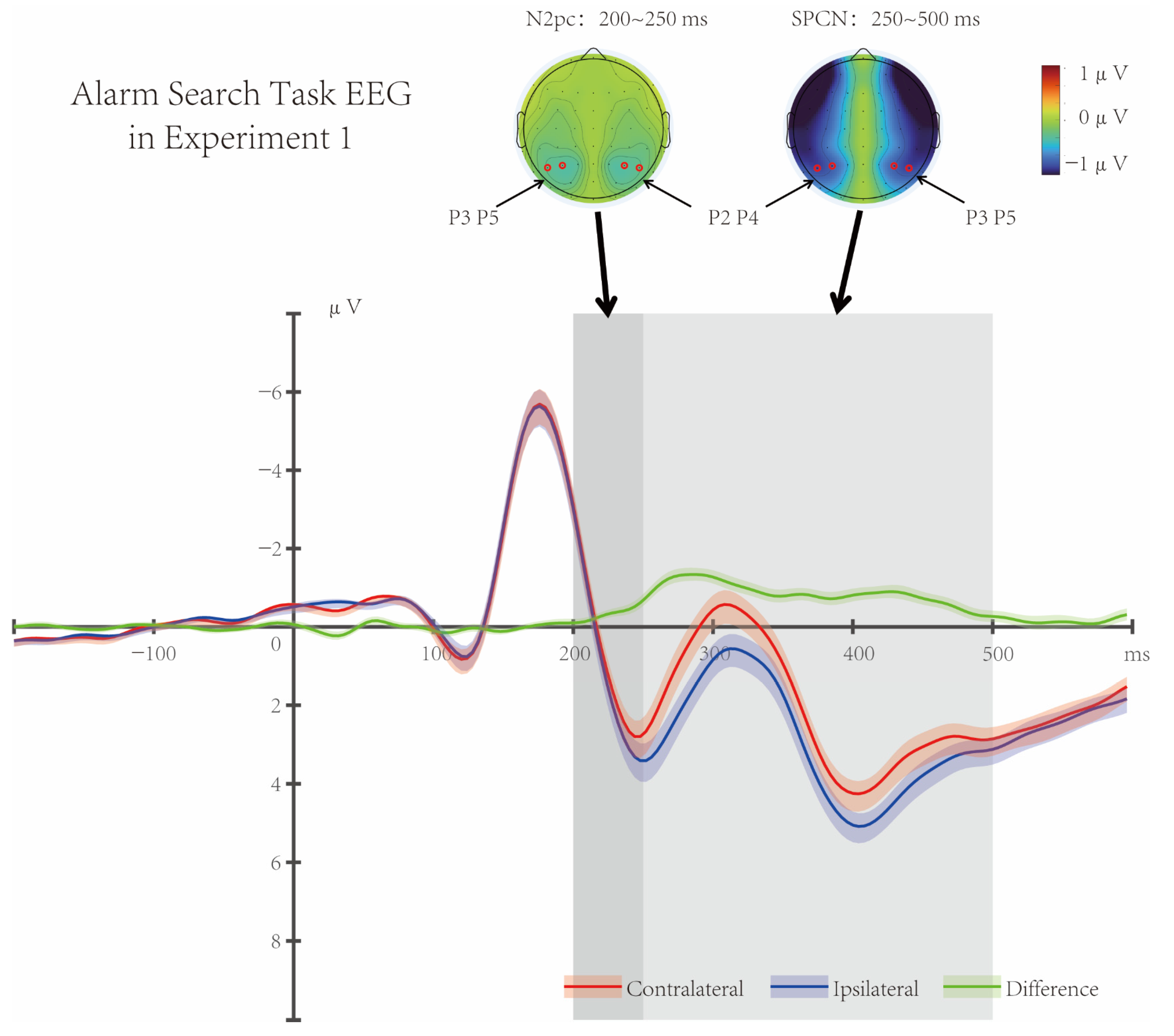 Brainsci 16 00012 g003