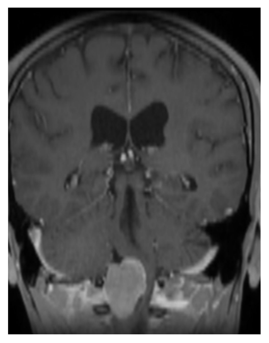 Brainsci 16 00014 g002 Brainsci 16 00014 g002