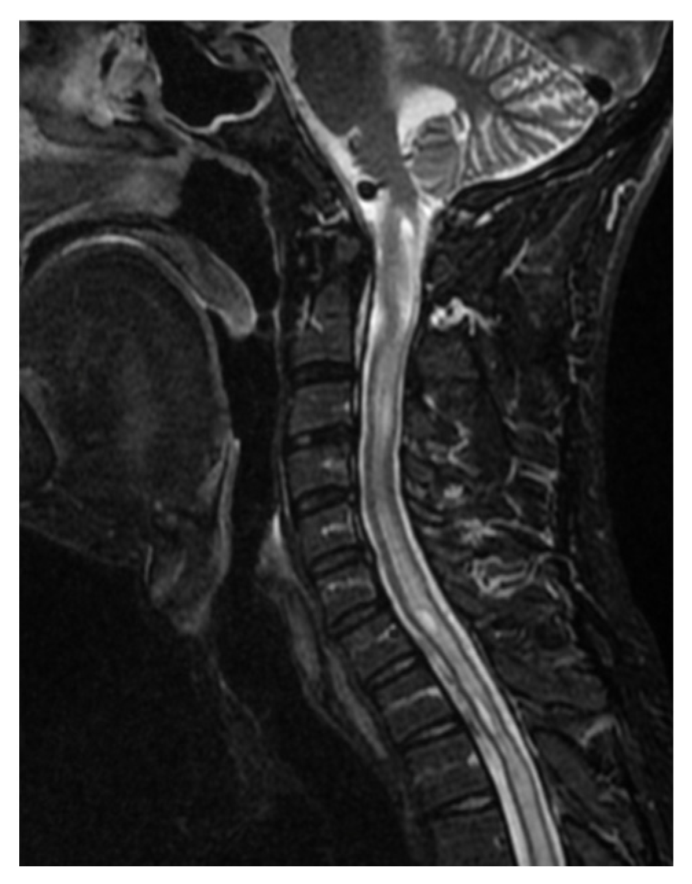 Brainsci 16 00014 g006 Brainsci 16 00014 g006