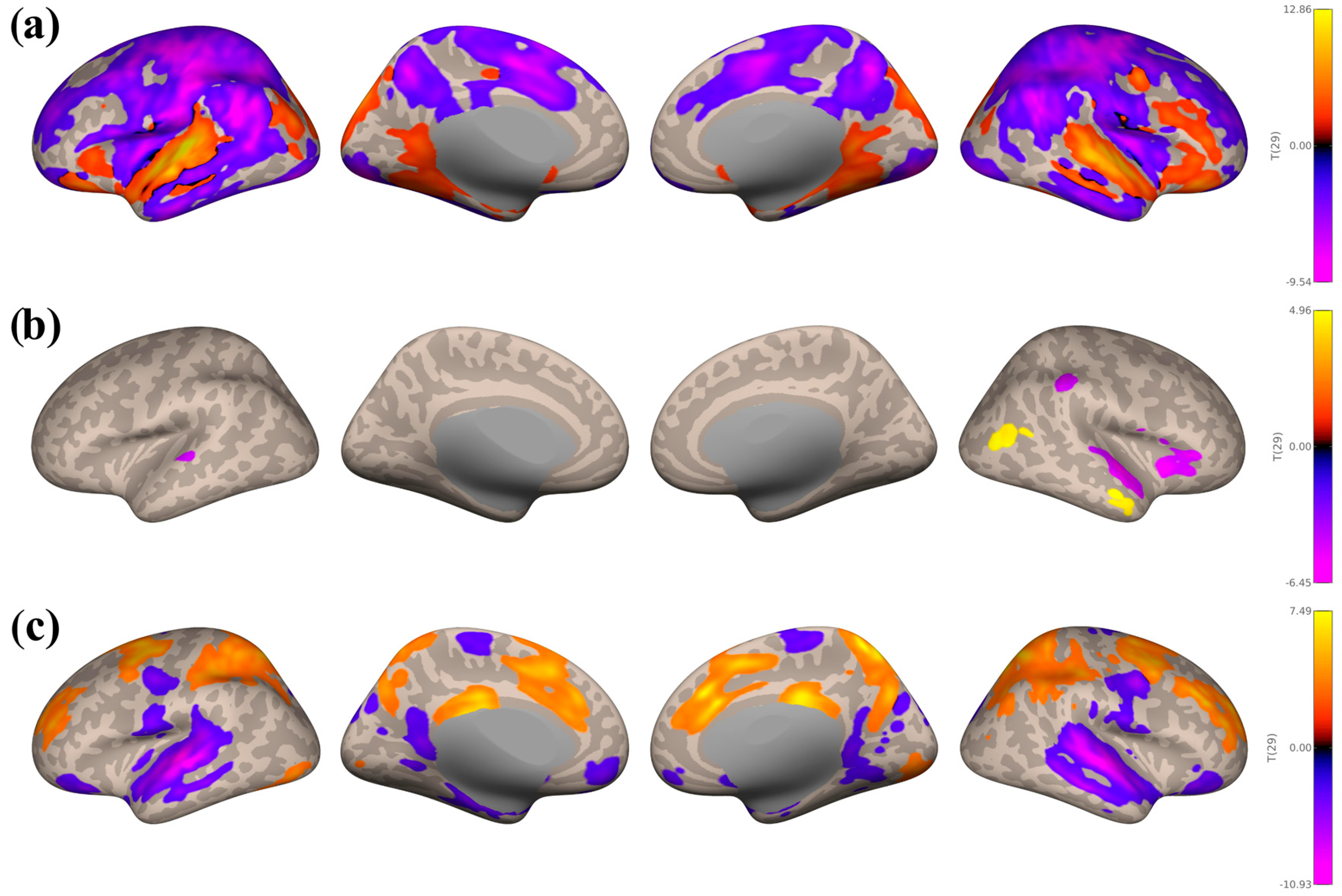 Brainsci 16 00015 g003
