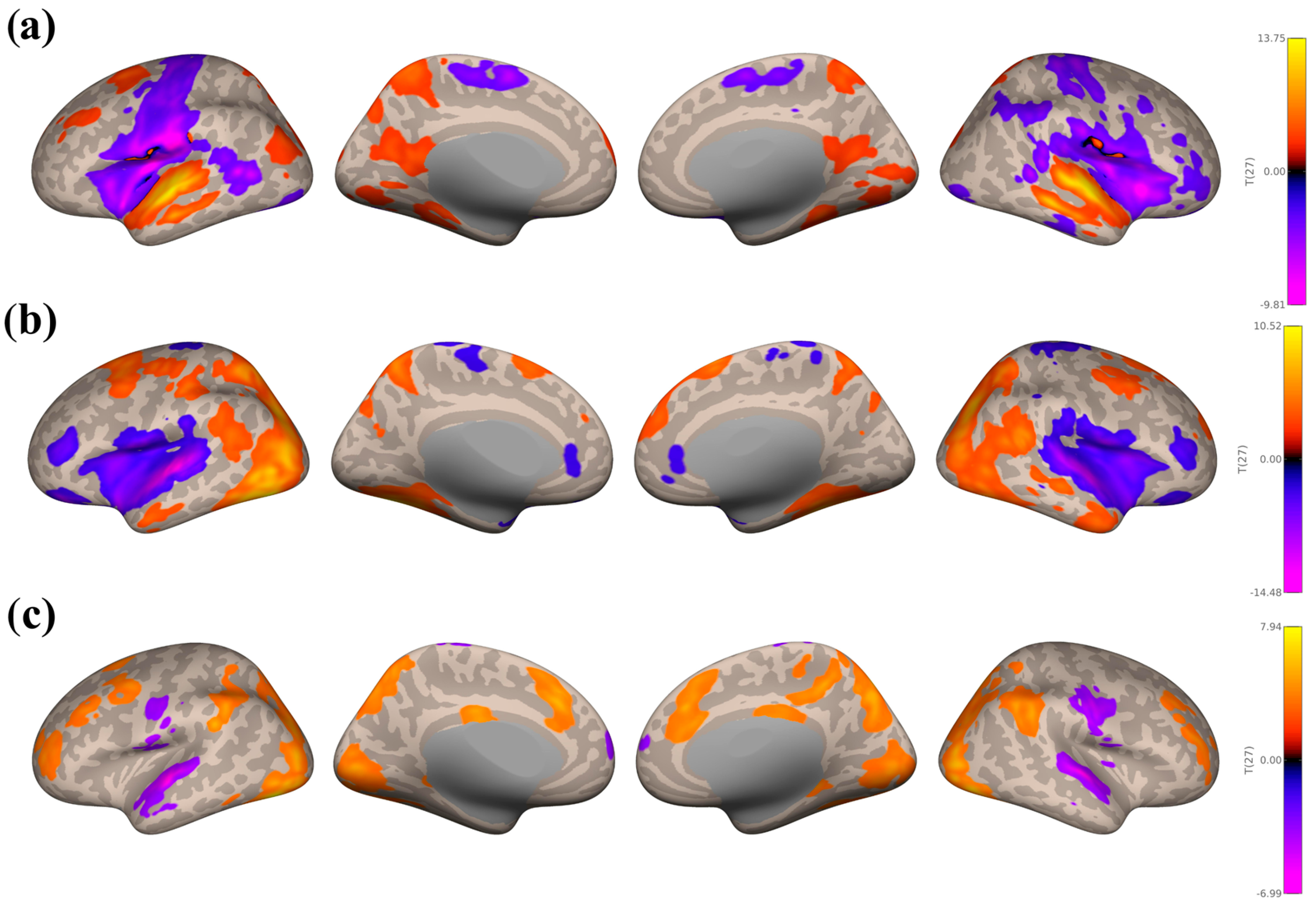 Brainsci 16 00015 g005