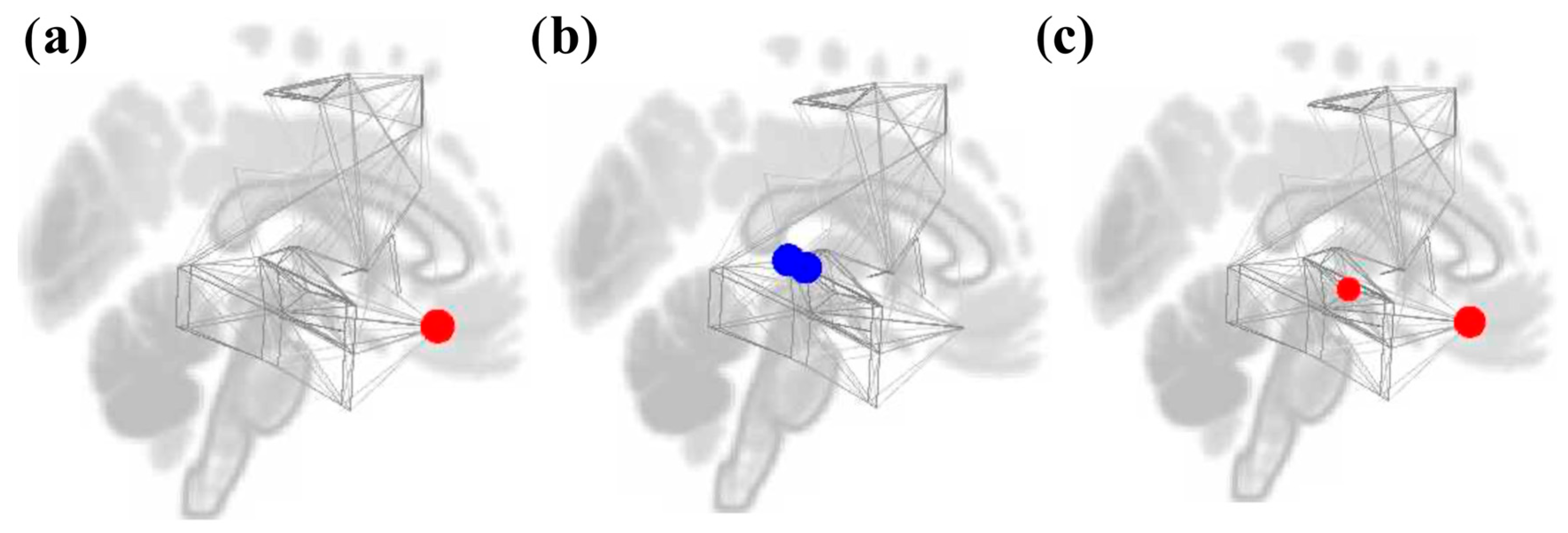 Brainsci 16 00015 g006