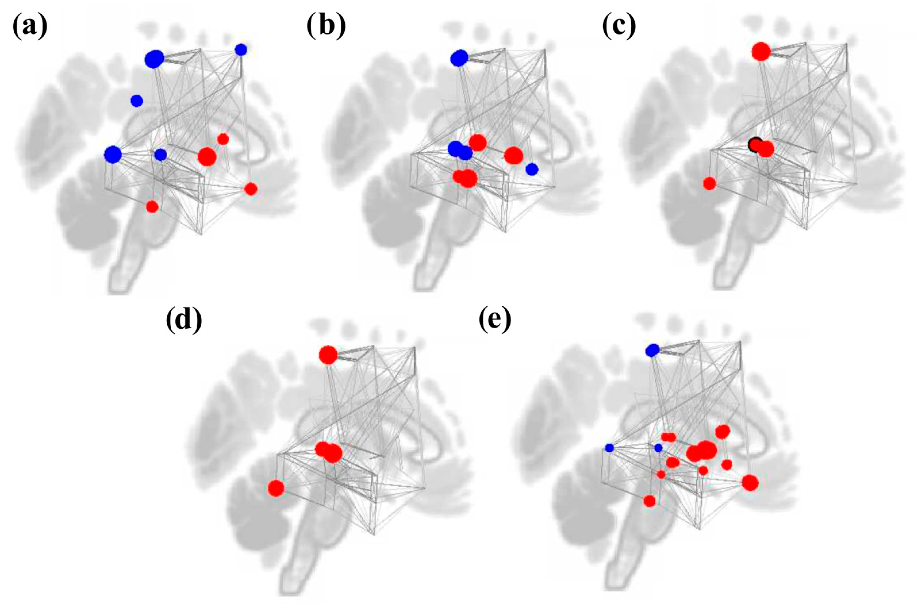 Brainsci 16 00015 g007