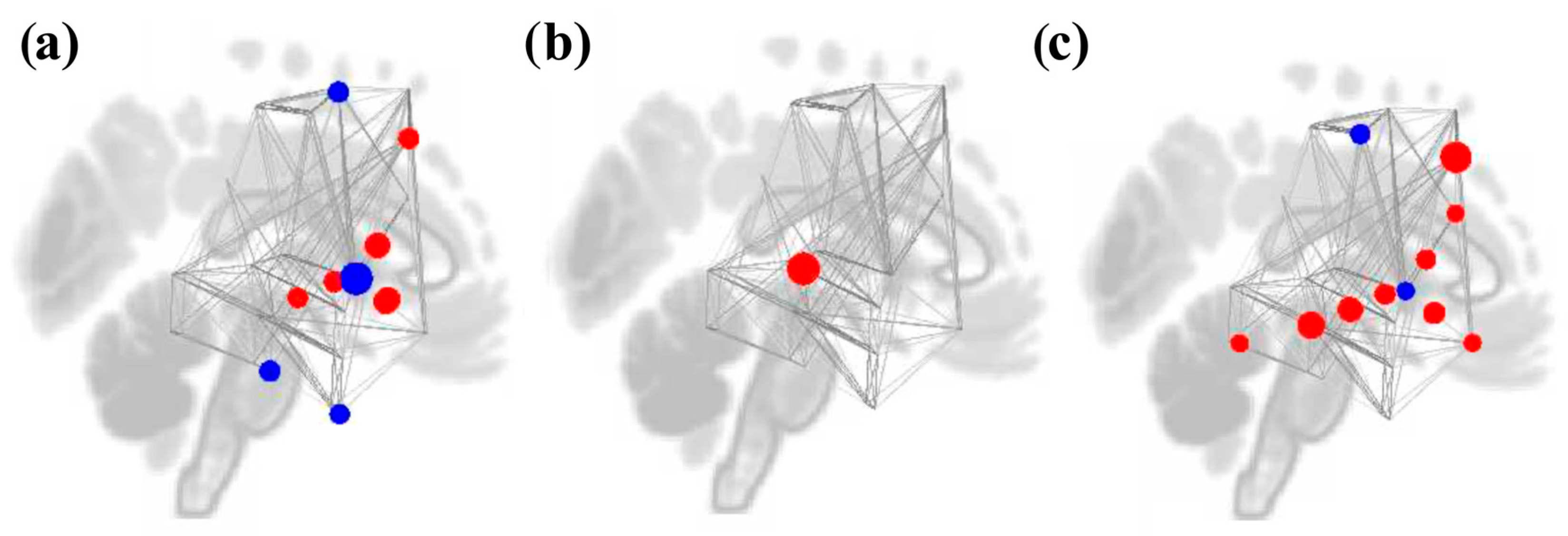 Brainsci 16 00015 g008