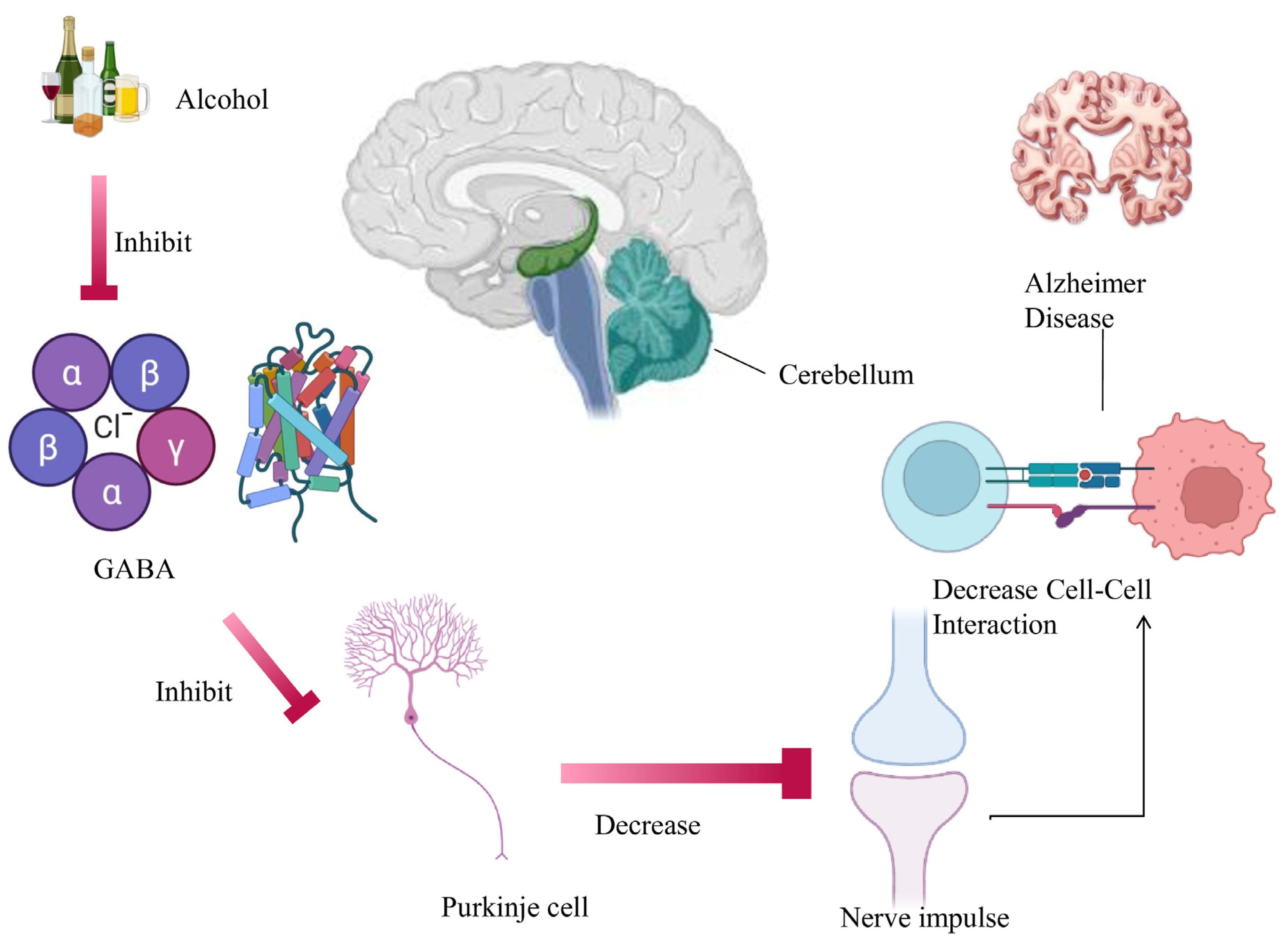Brainsci 16 00035 g001