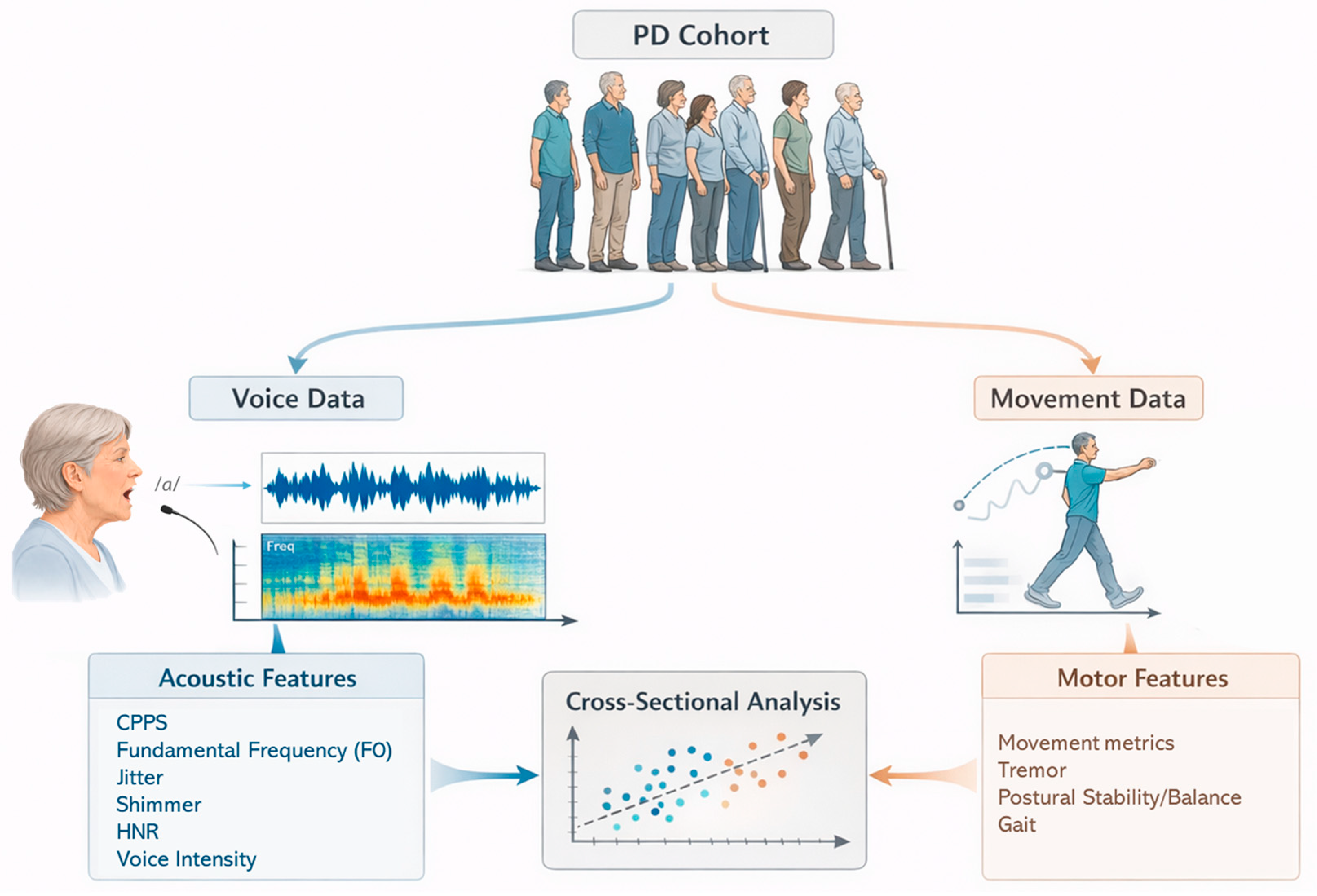 Brainsci 16 00048 g001