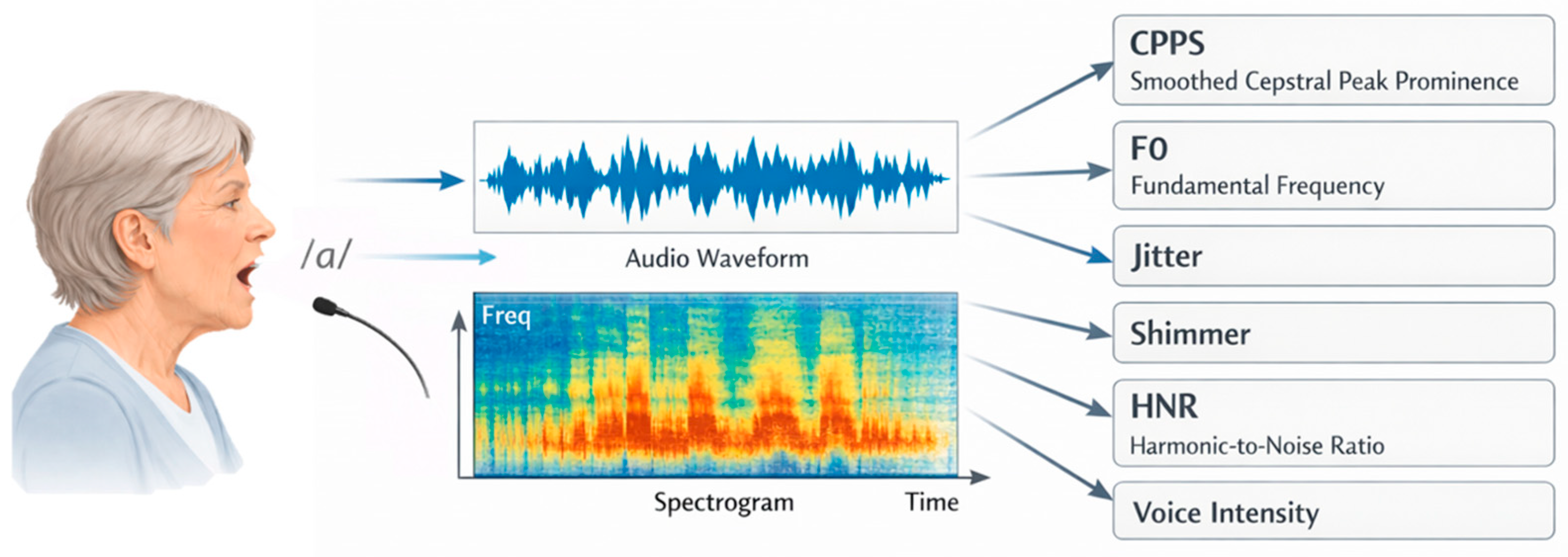 Brainsci 16 00048 g002