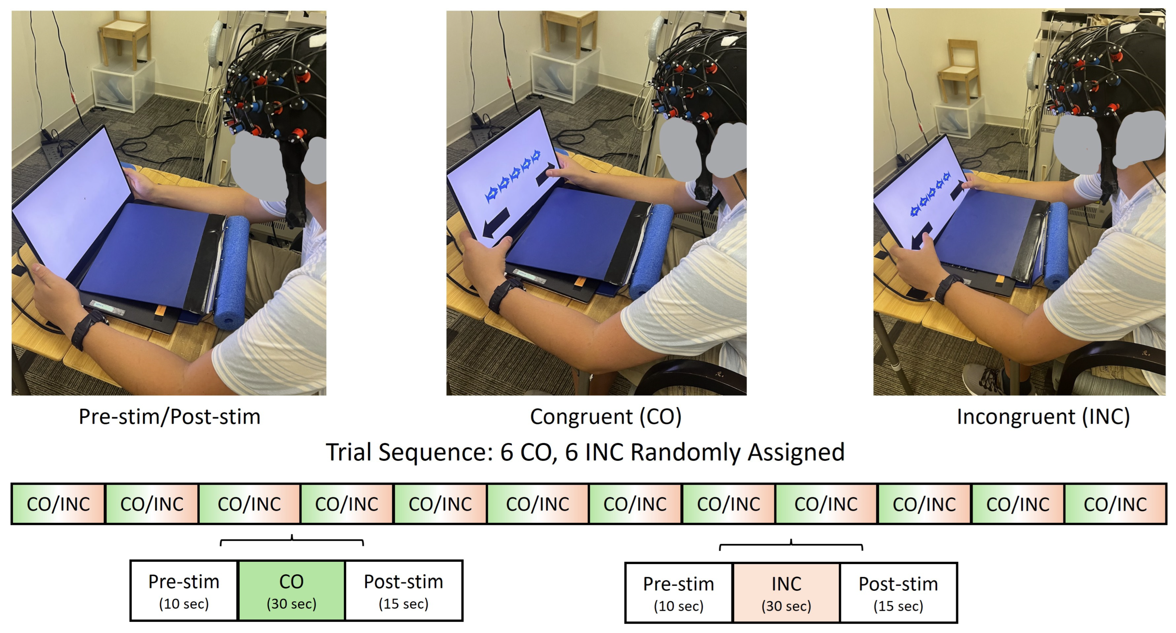 Brainsci 16 00065 g001