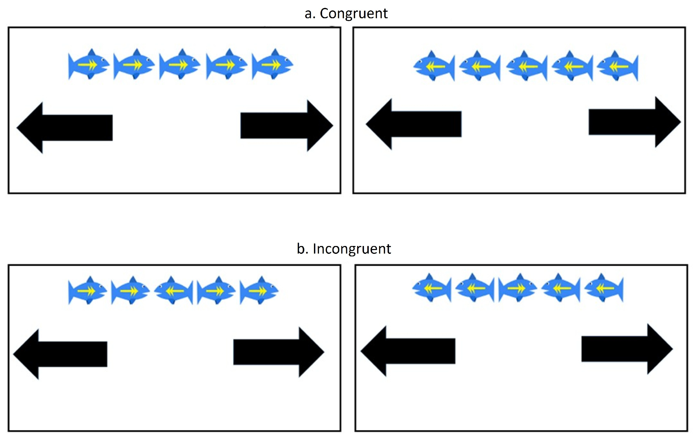 Brainsci 16 00065 g002