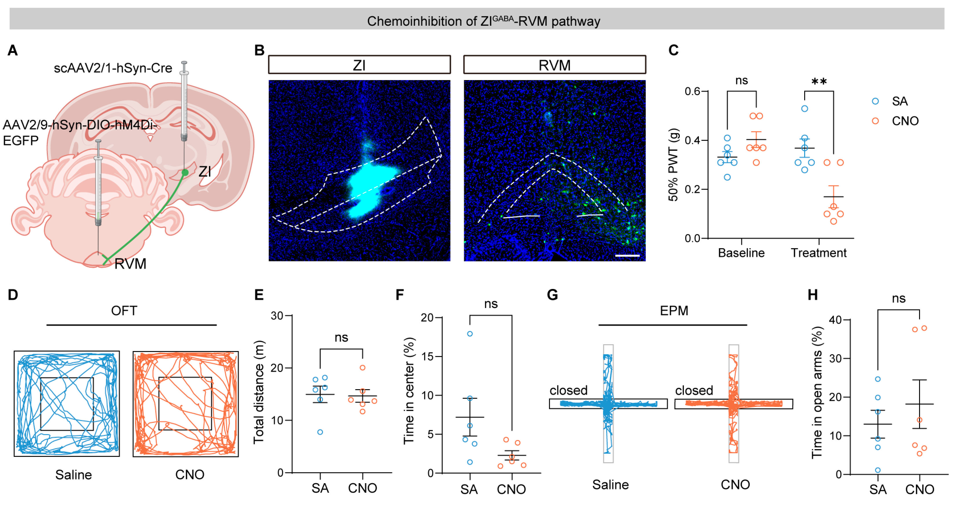 Brainsci 16 00072 g003