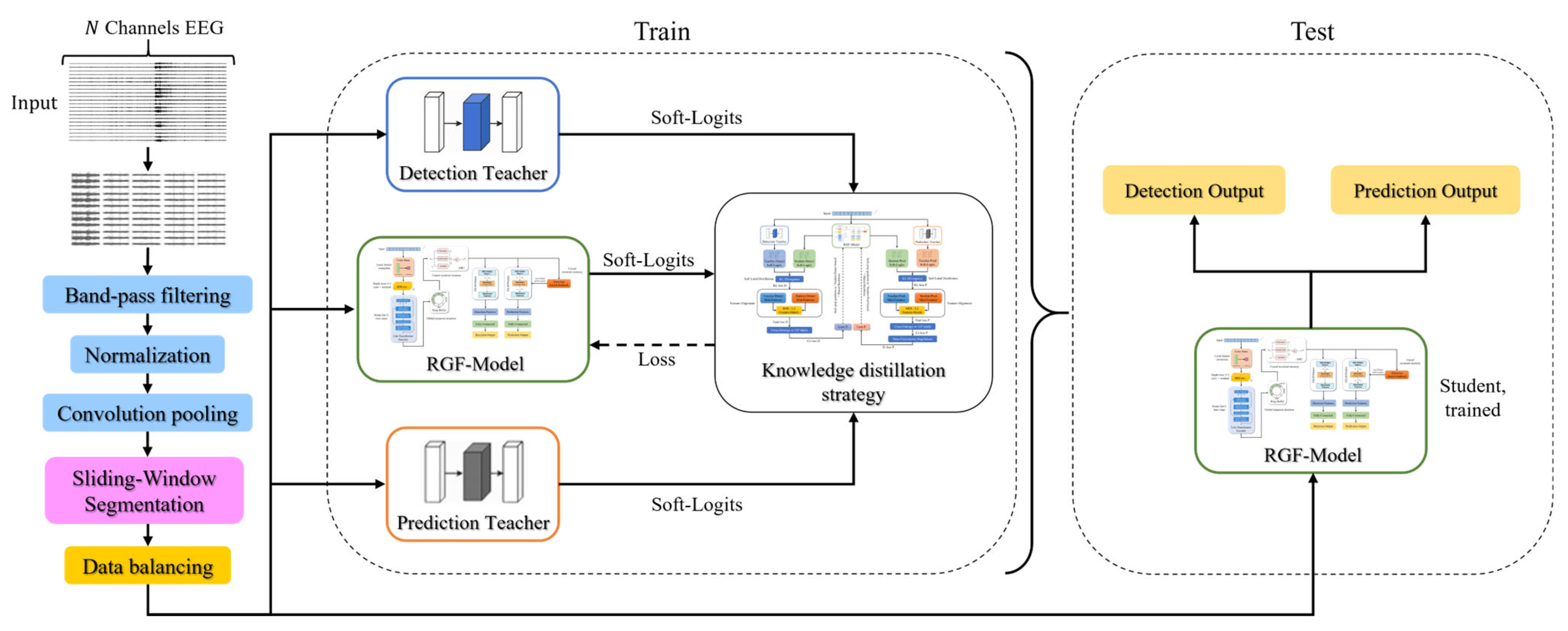 Brainsci 16 00083 g001
