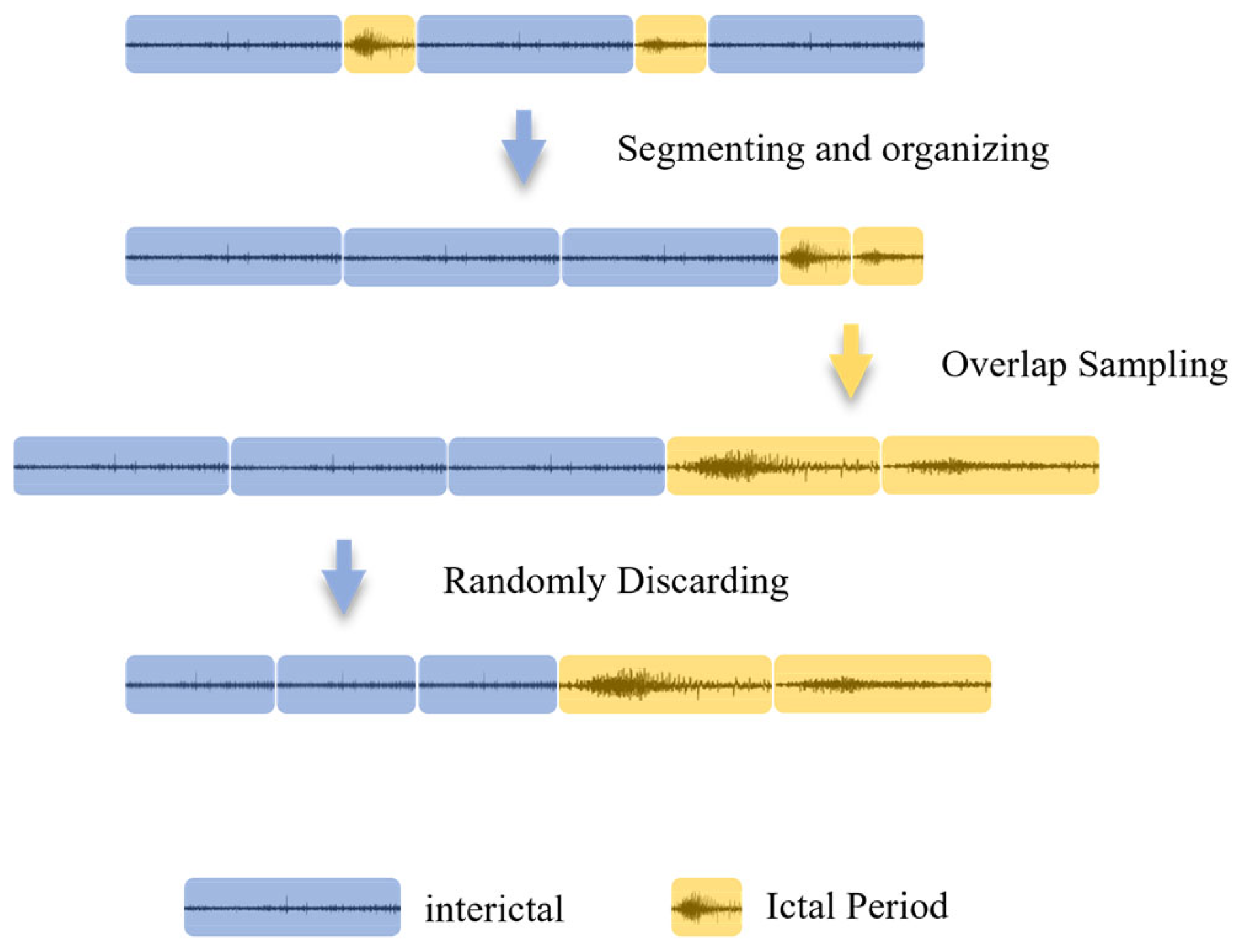 Brainsci 16 00083 g003