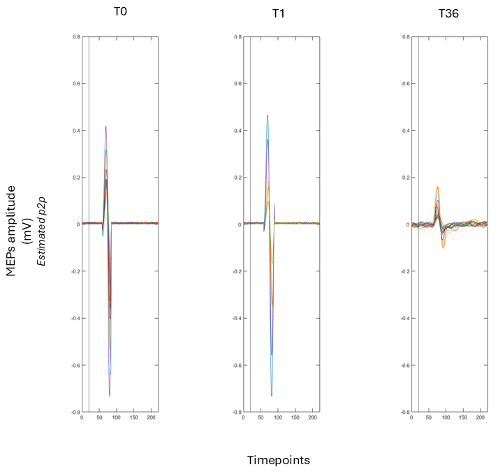 Brainsci 16 00099 g004