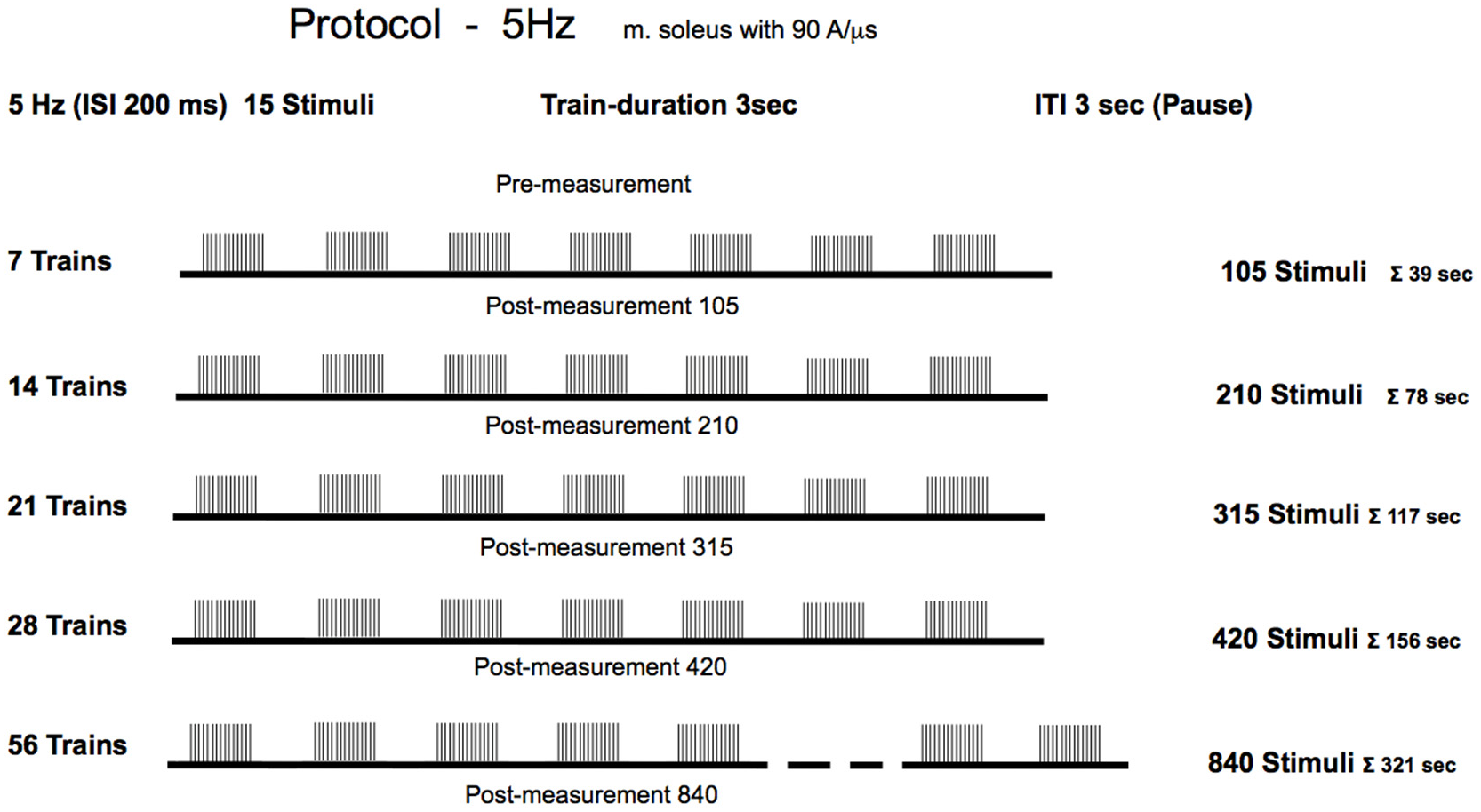 Brainsci 16 00100 g001