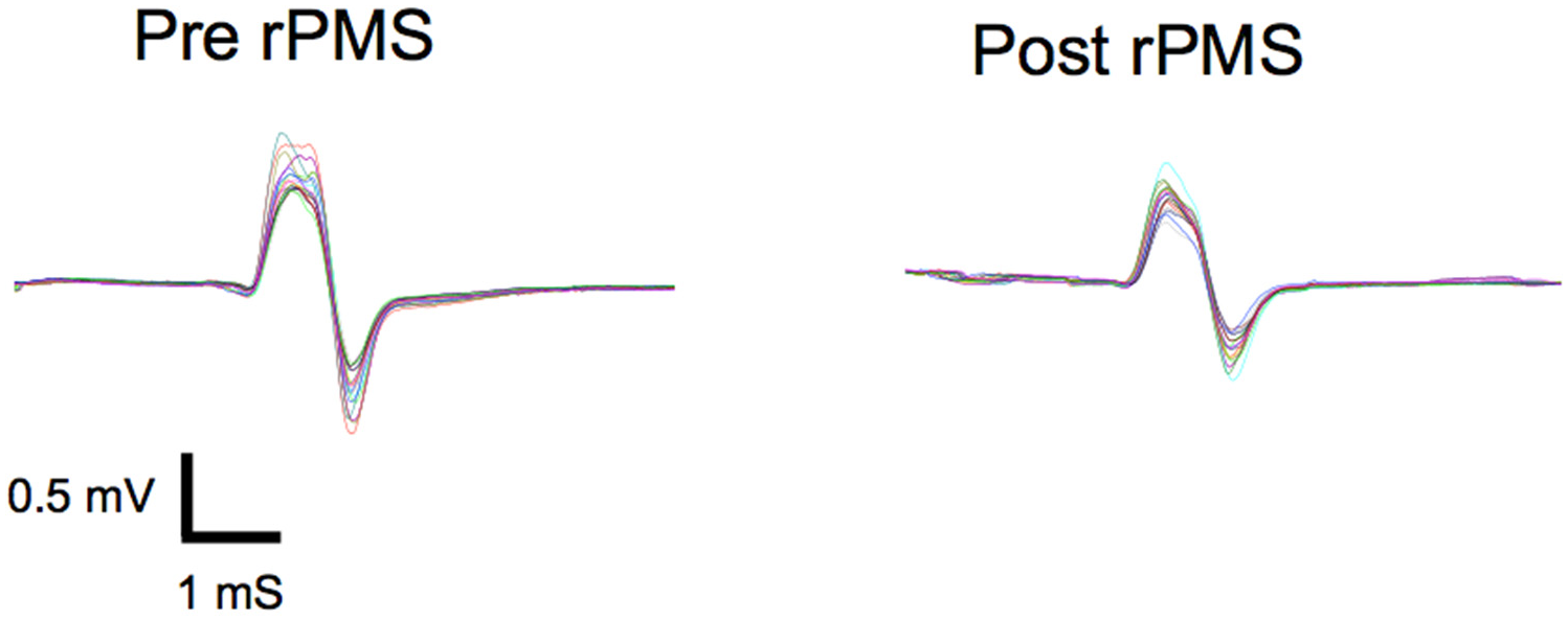 Brainsci 16 00100 g002