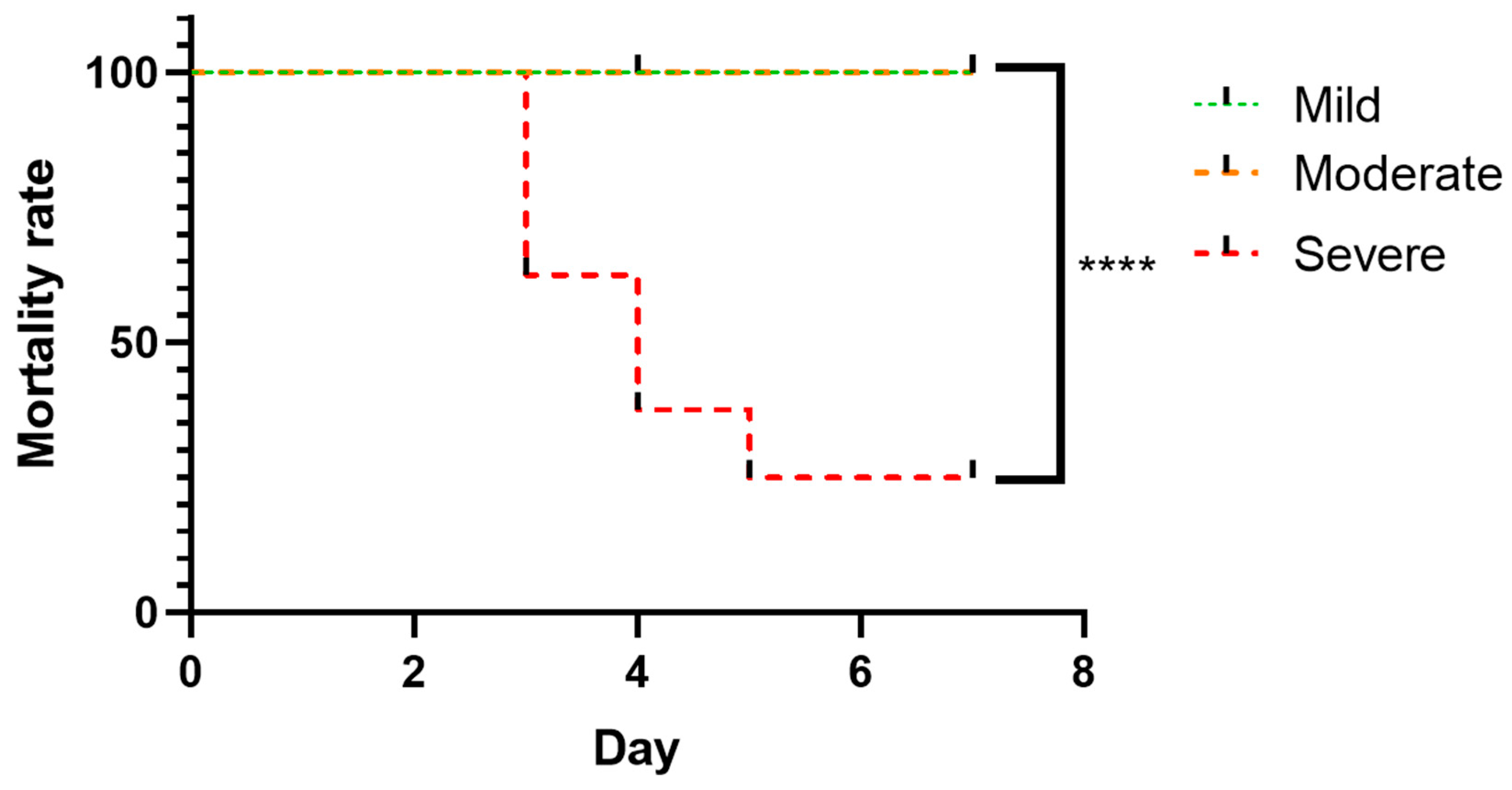 Brainsci 16 00102 g002