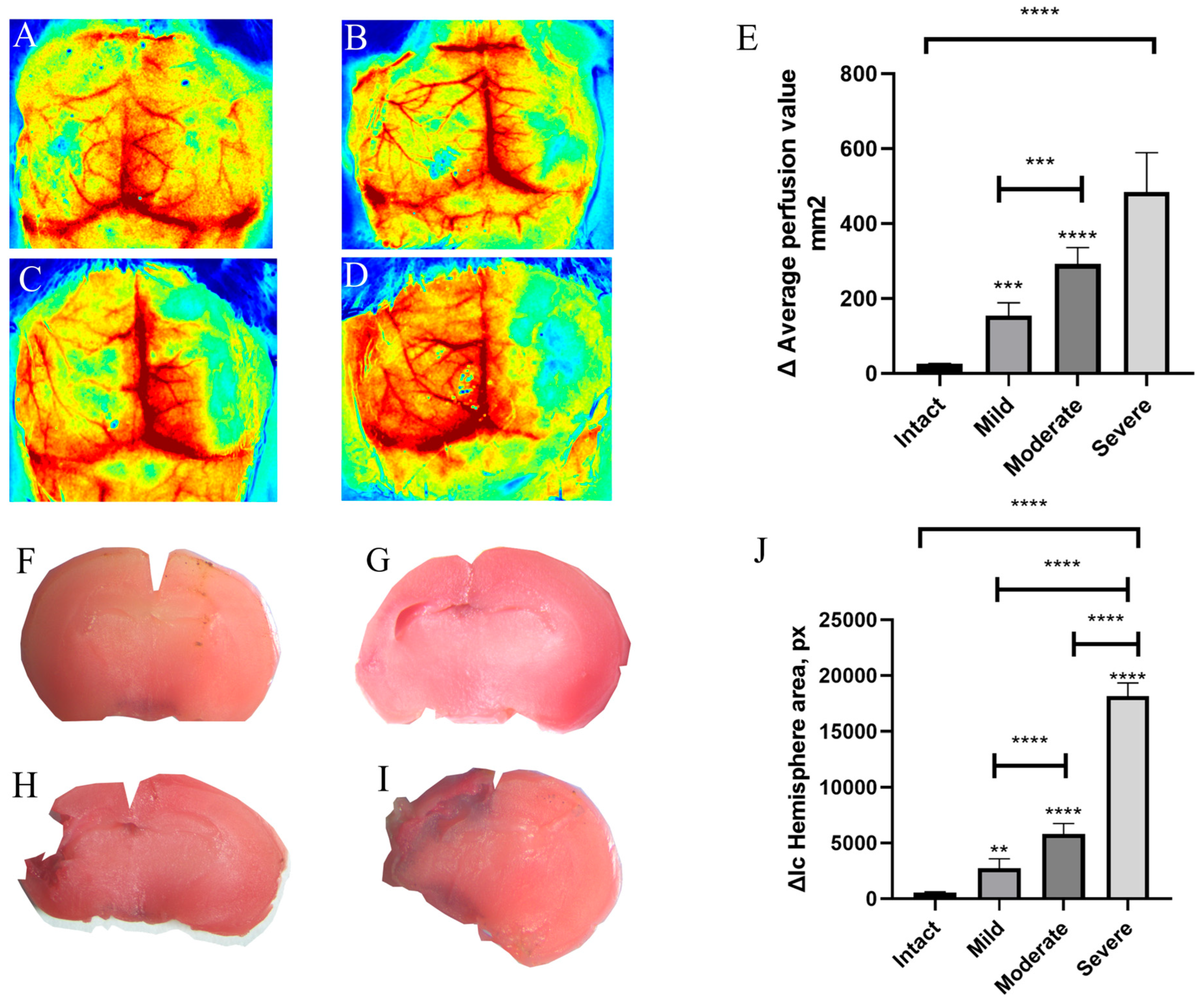 Brainsci 16 00102 g003