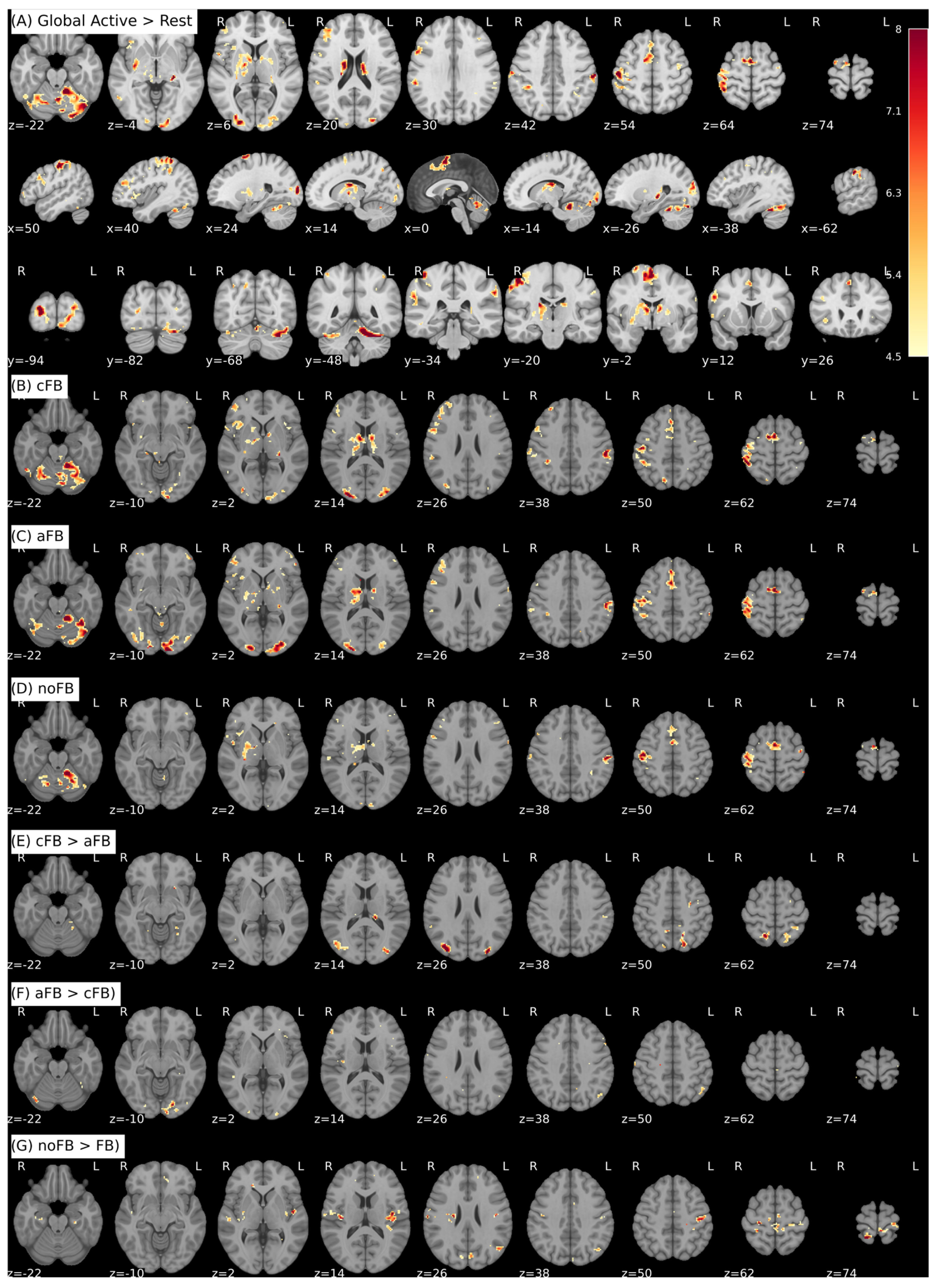 Brainsci 16 00166 g009