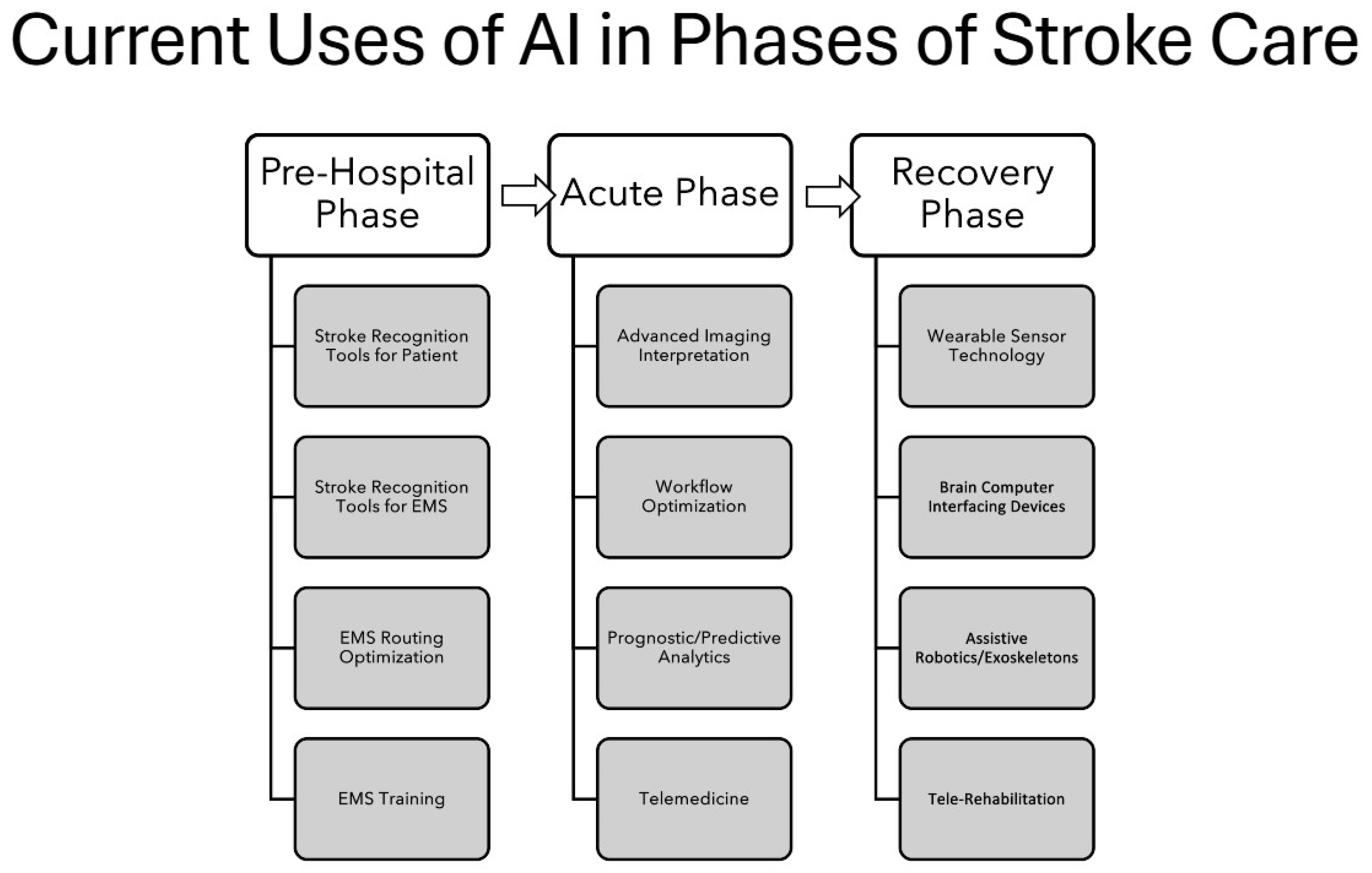 Brainsci 16 00173 g001