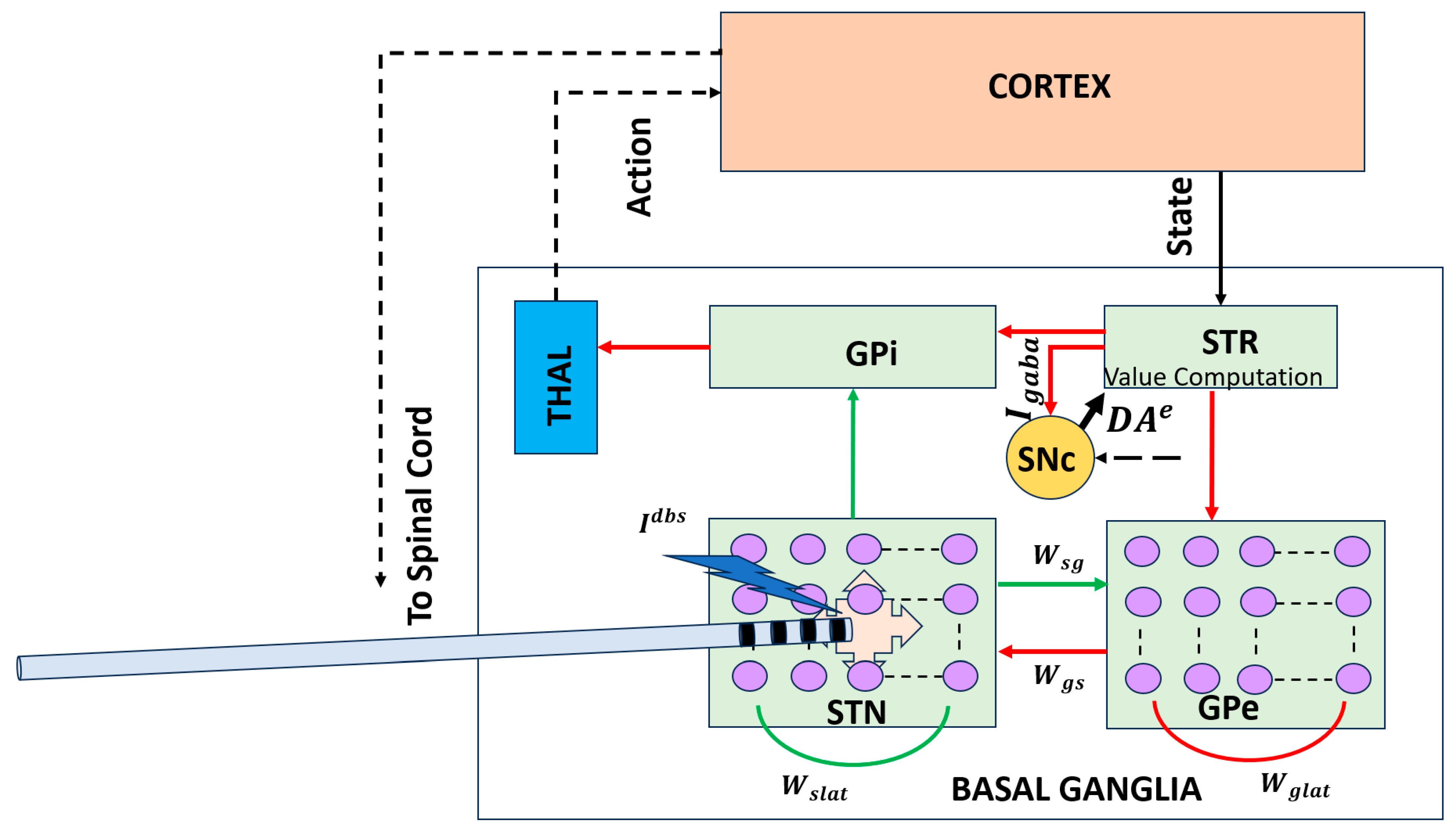 Brainsci 16 00175 g002