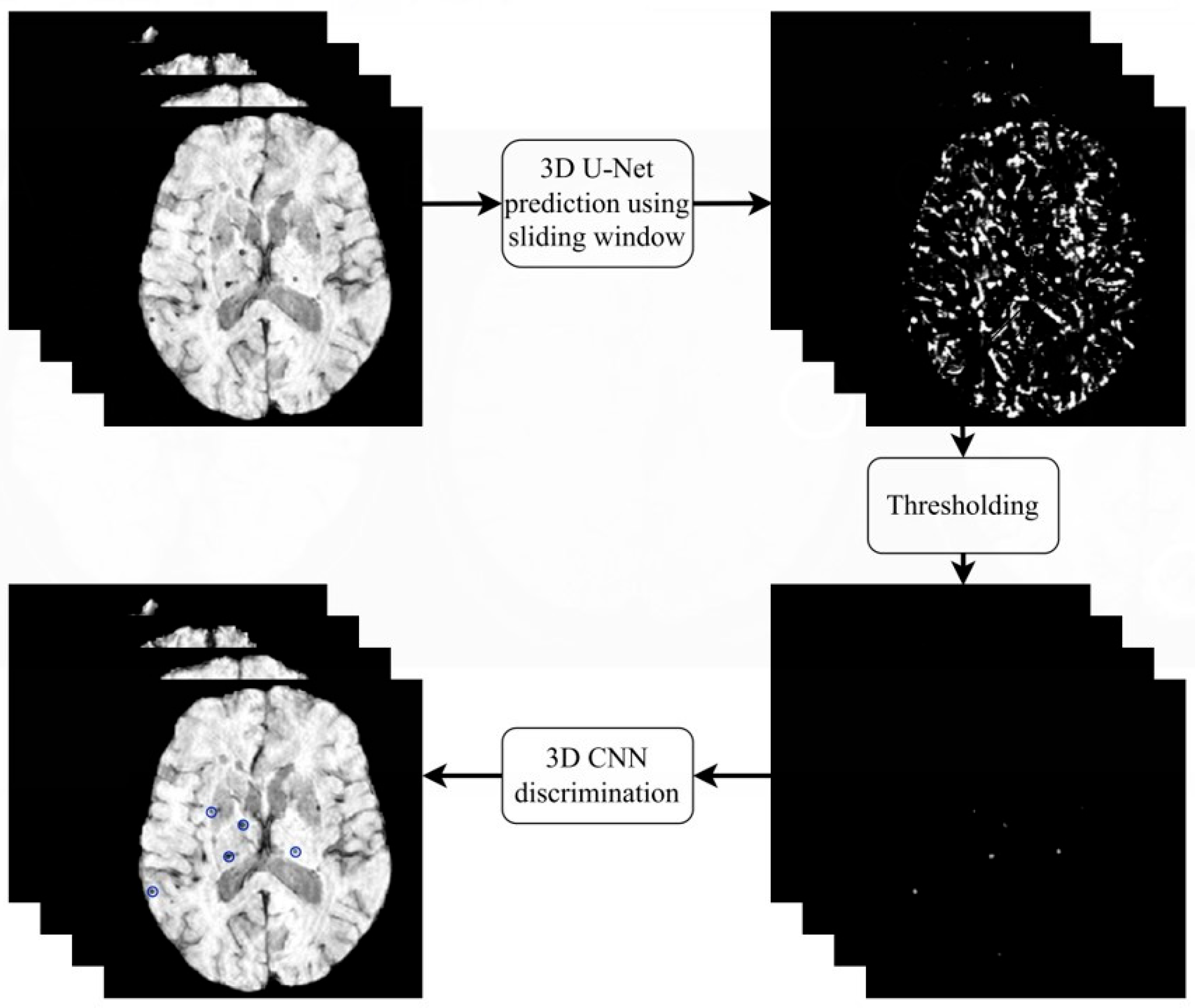 Brainsci 16 00207 g002 Brainsci 16 00207 g002