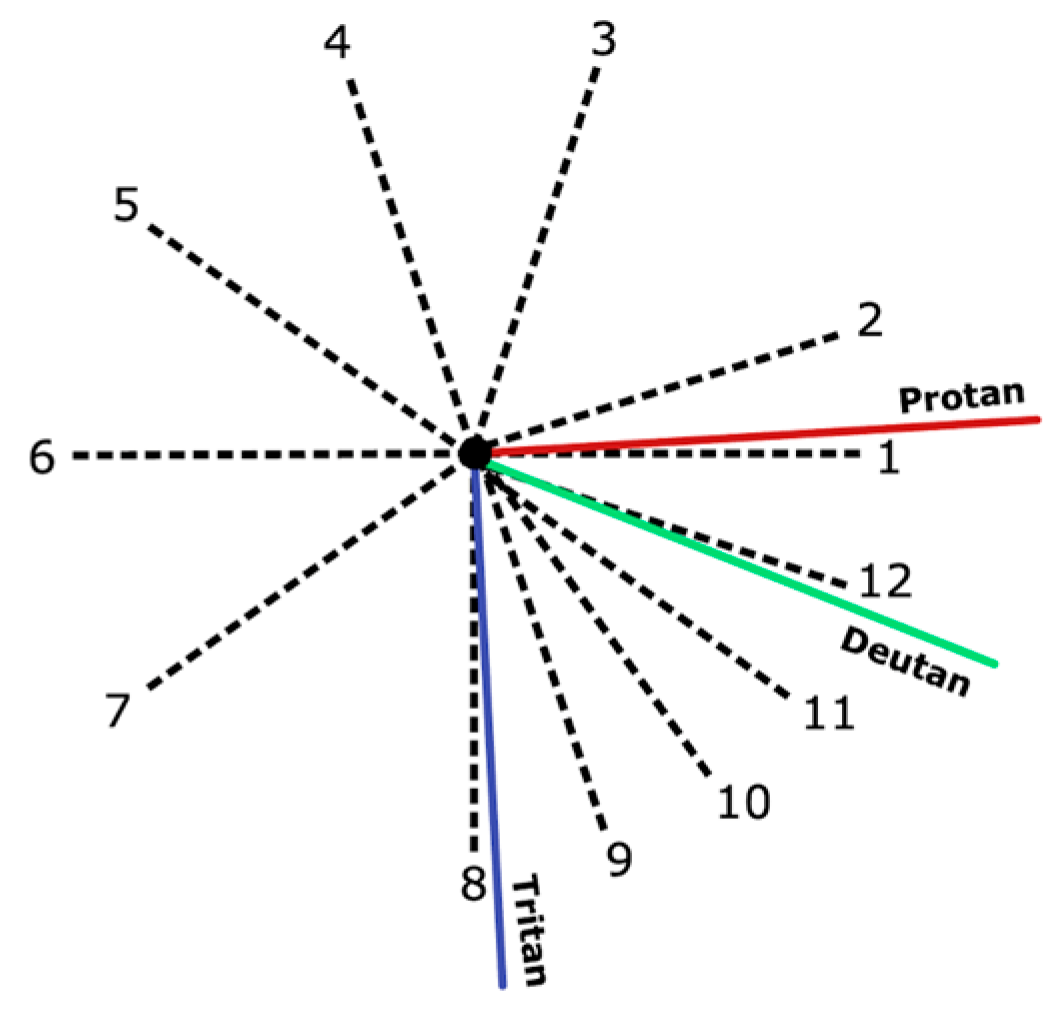 Brainsci 16 00213 g001