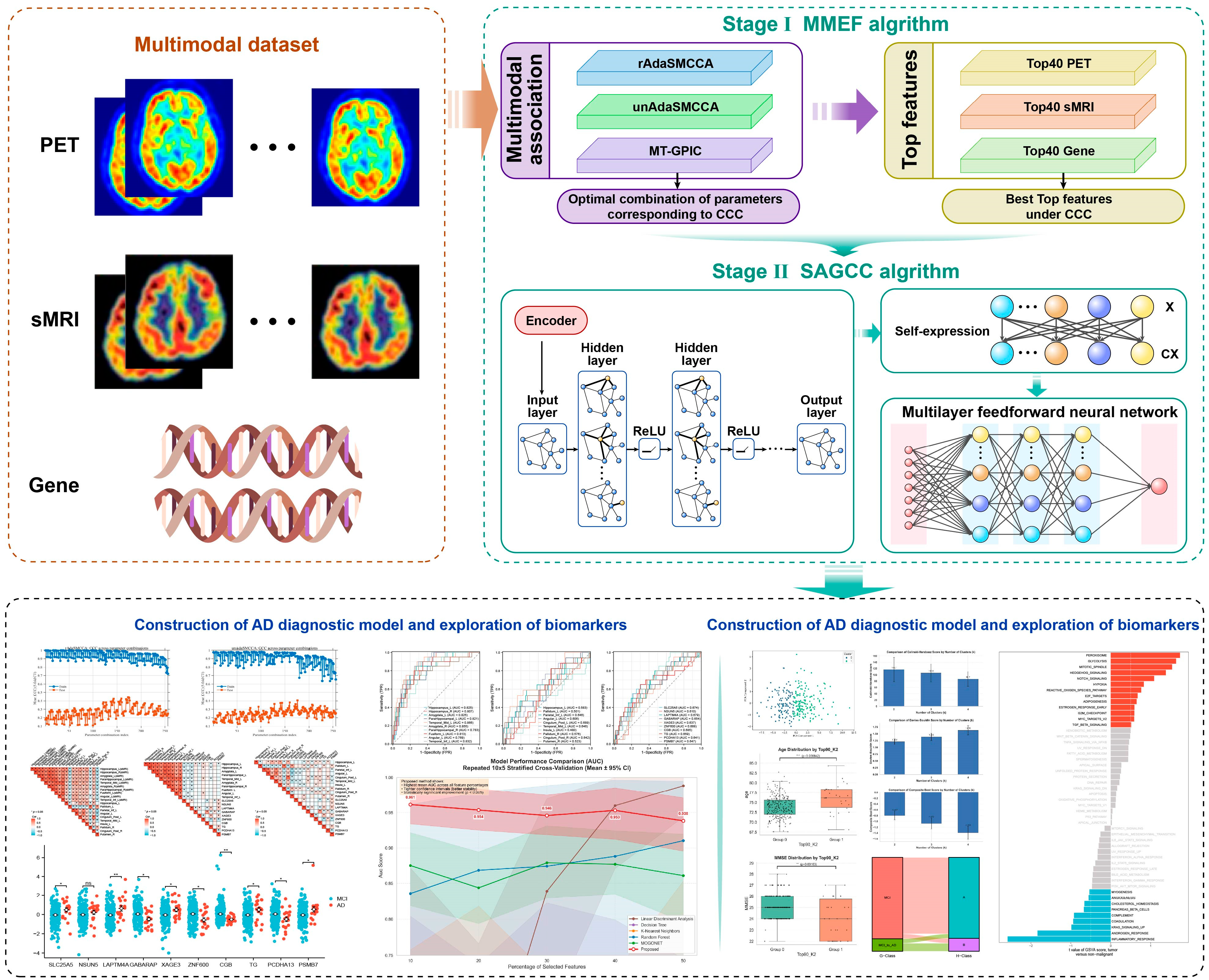 Brainsci 16 00255 g001 Brainsci 16 00255 g001