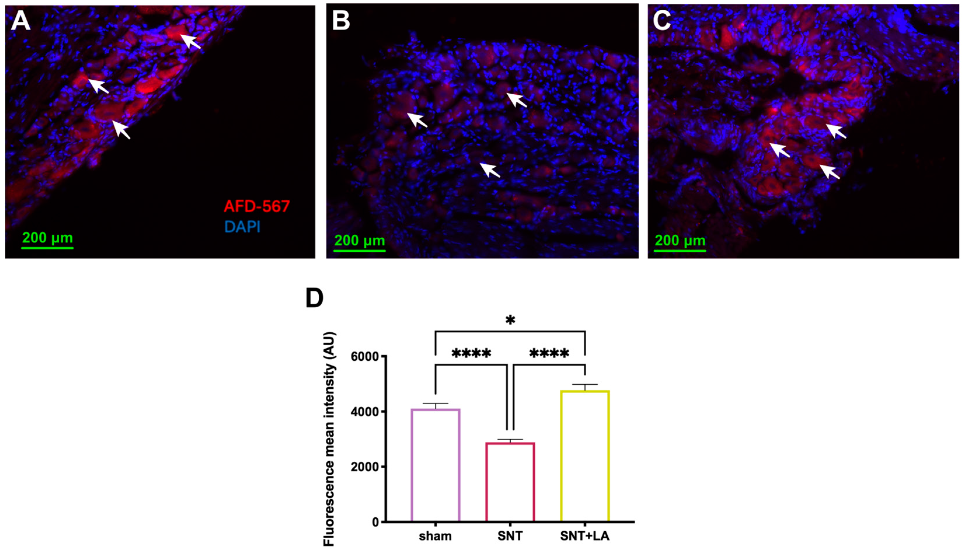 Brainsci 16 00332 g002