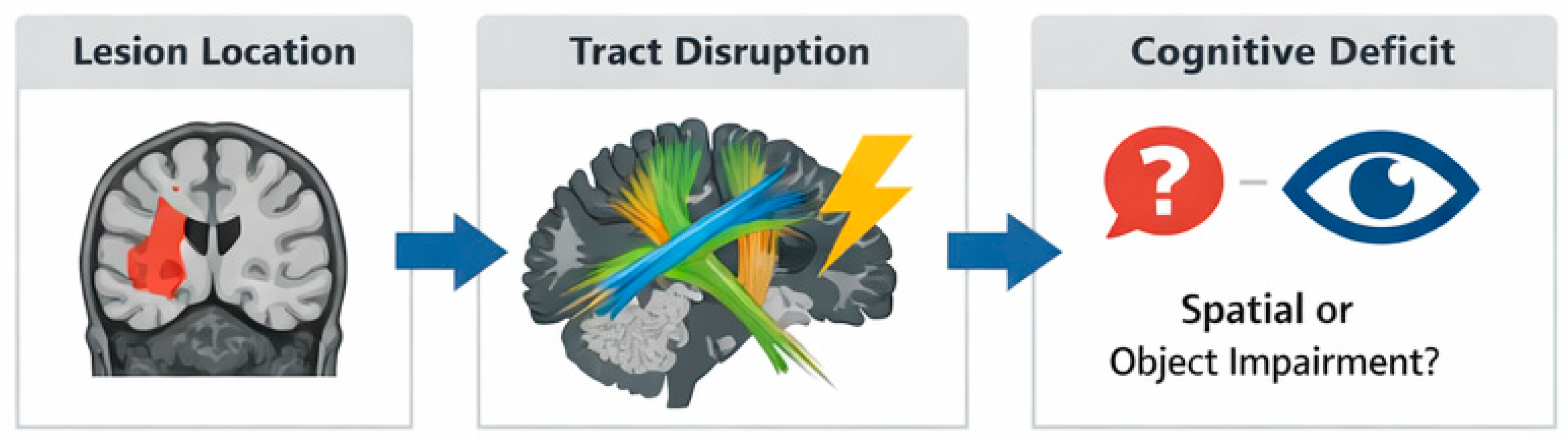 Brainsci 16 00345 g003