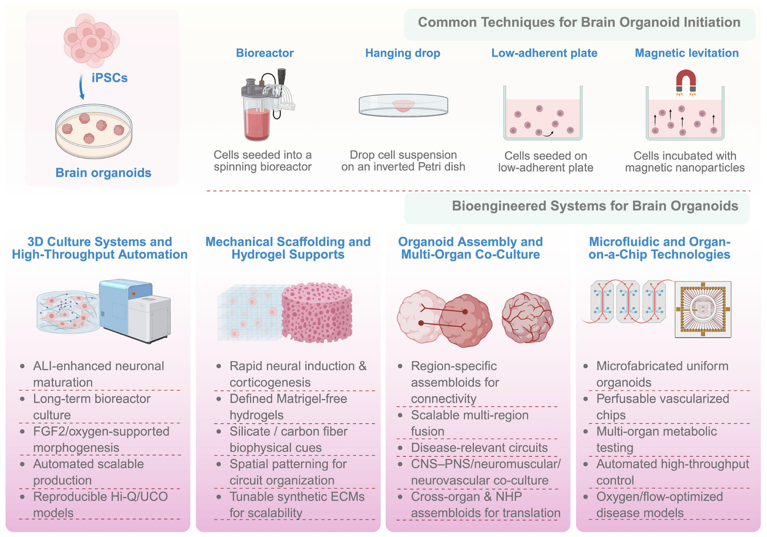 Brainsci 16 00427 g002