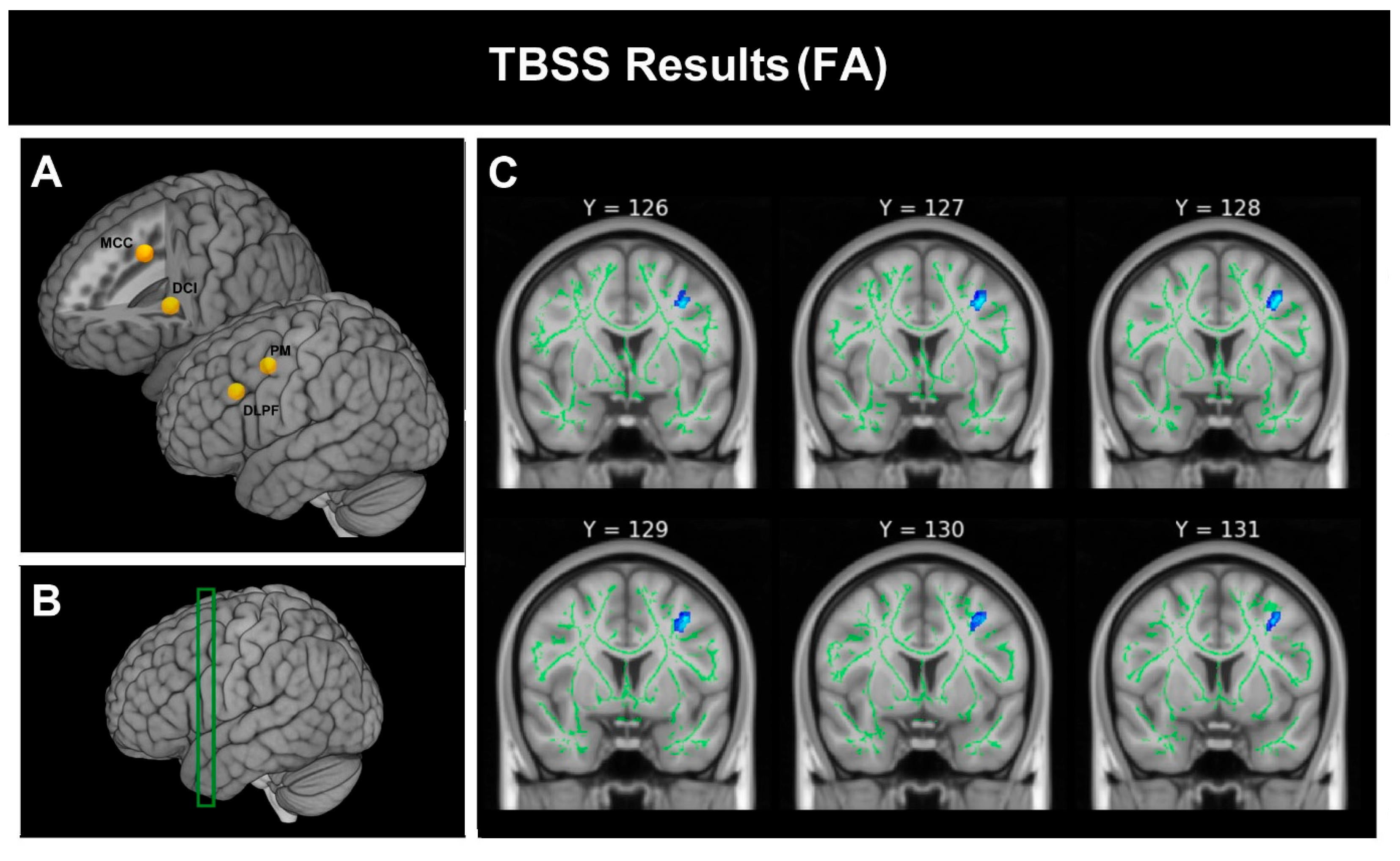 Brainsci 16 00446 g002