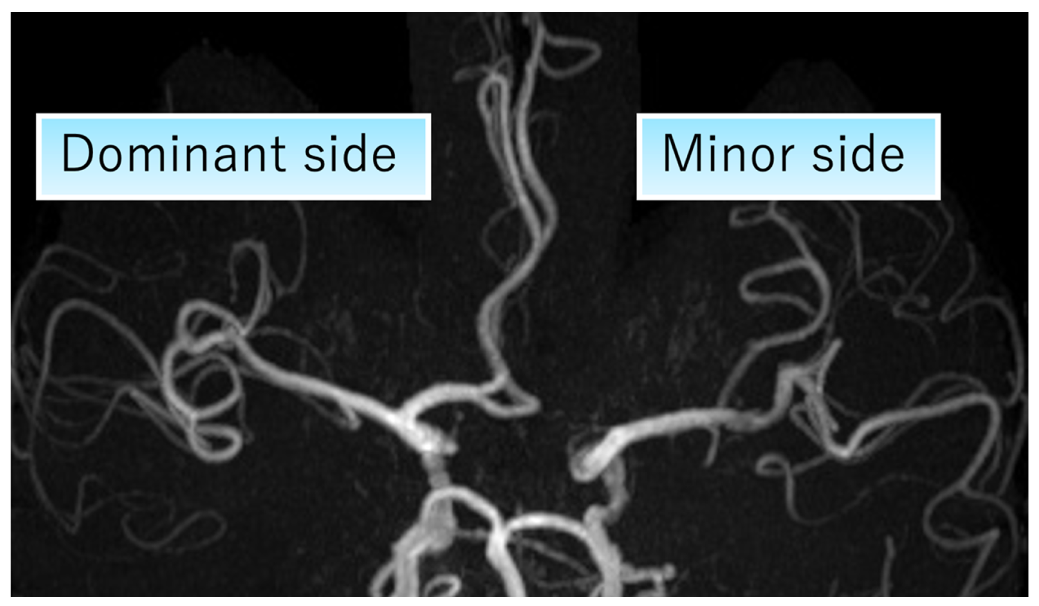 Brainsci 16 00486 g001