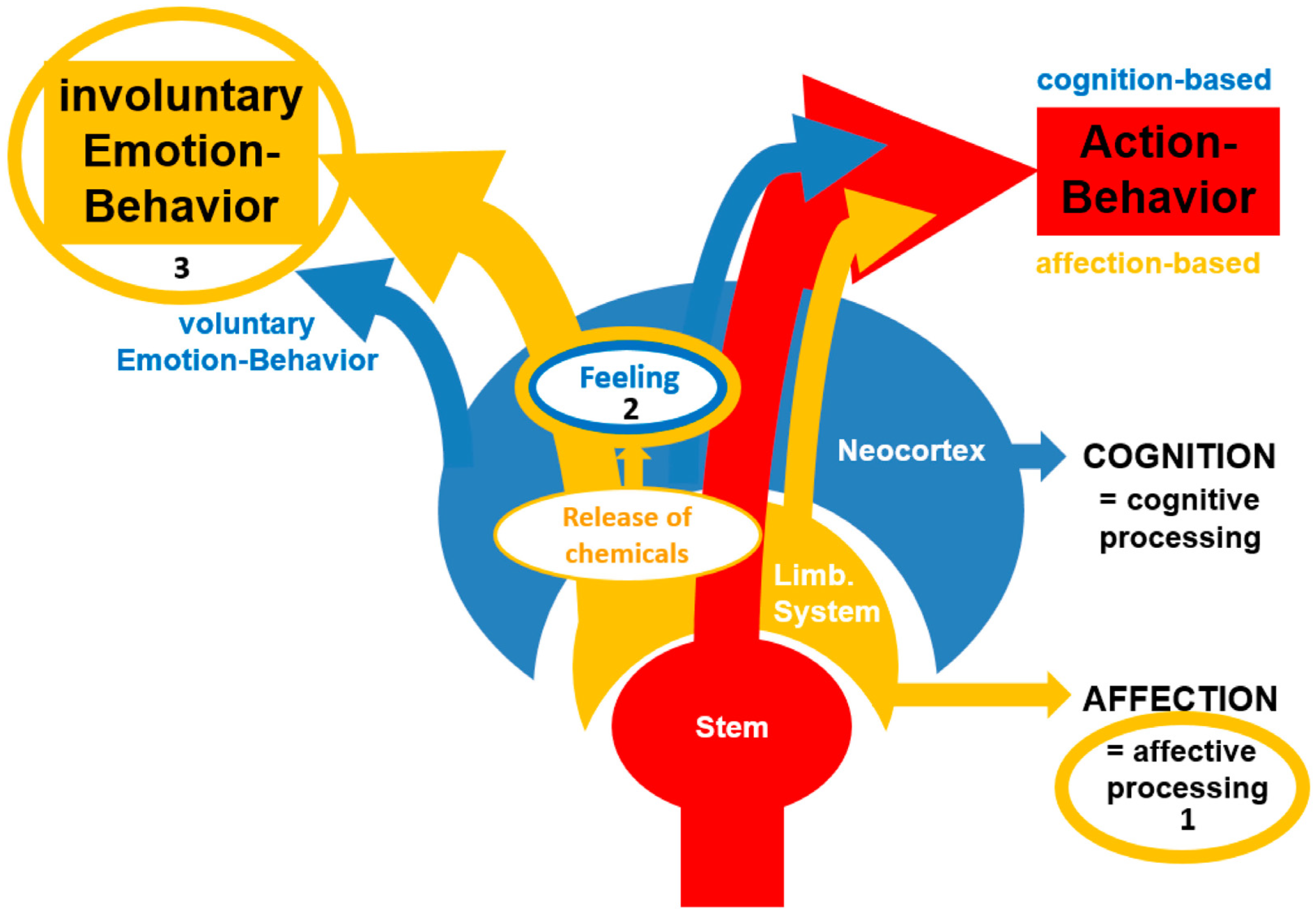 Brainsci 16 00512 g001 Brainsci 16 00512 g001