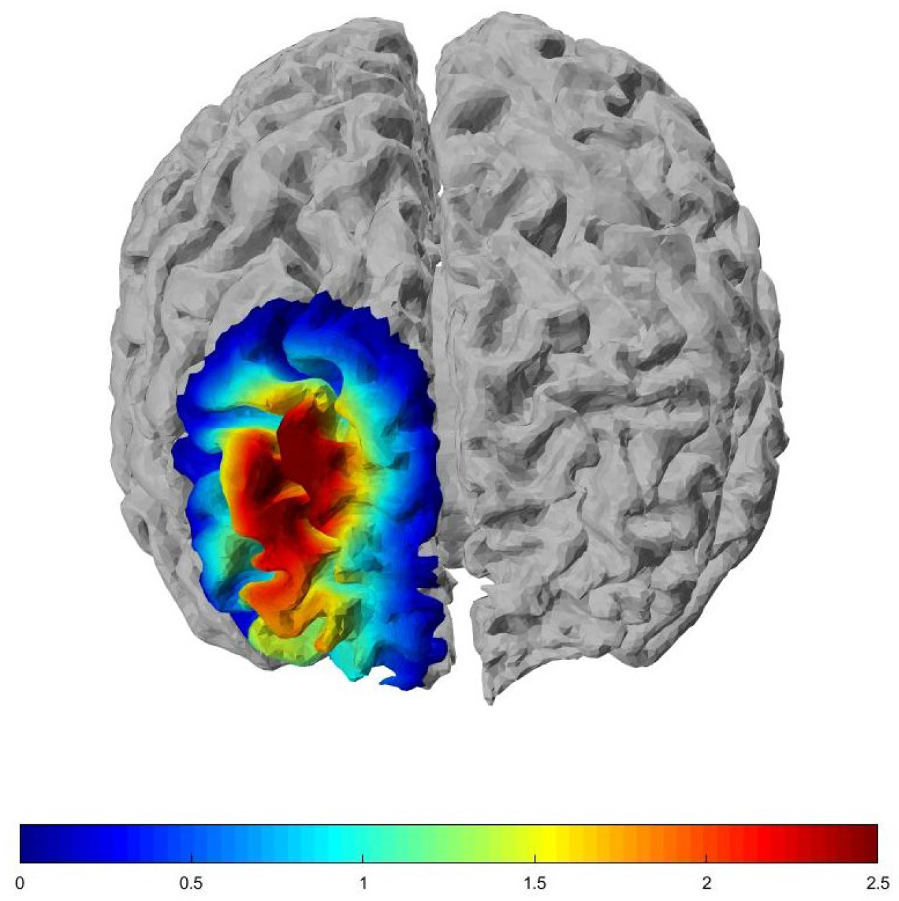 Brainsci 16 00564 g001 Brainsci 16 00564 g001