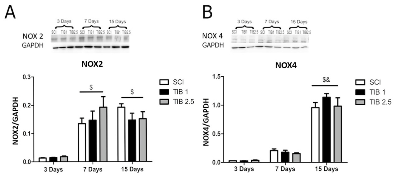 Brainsci 16 00711 g002 Brainsci 16 00711 g002