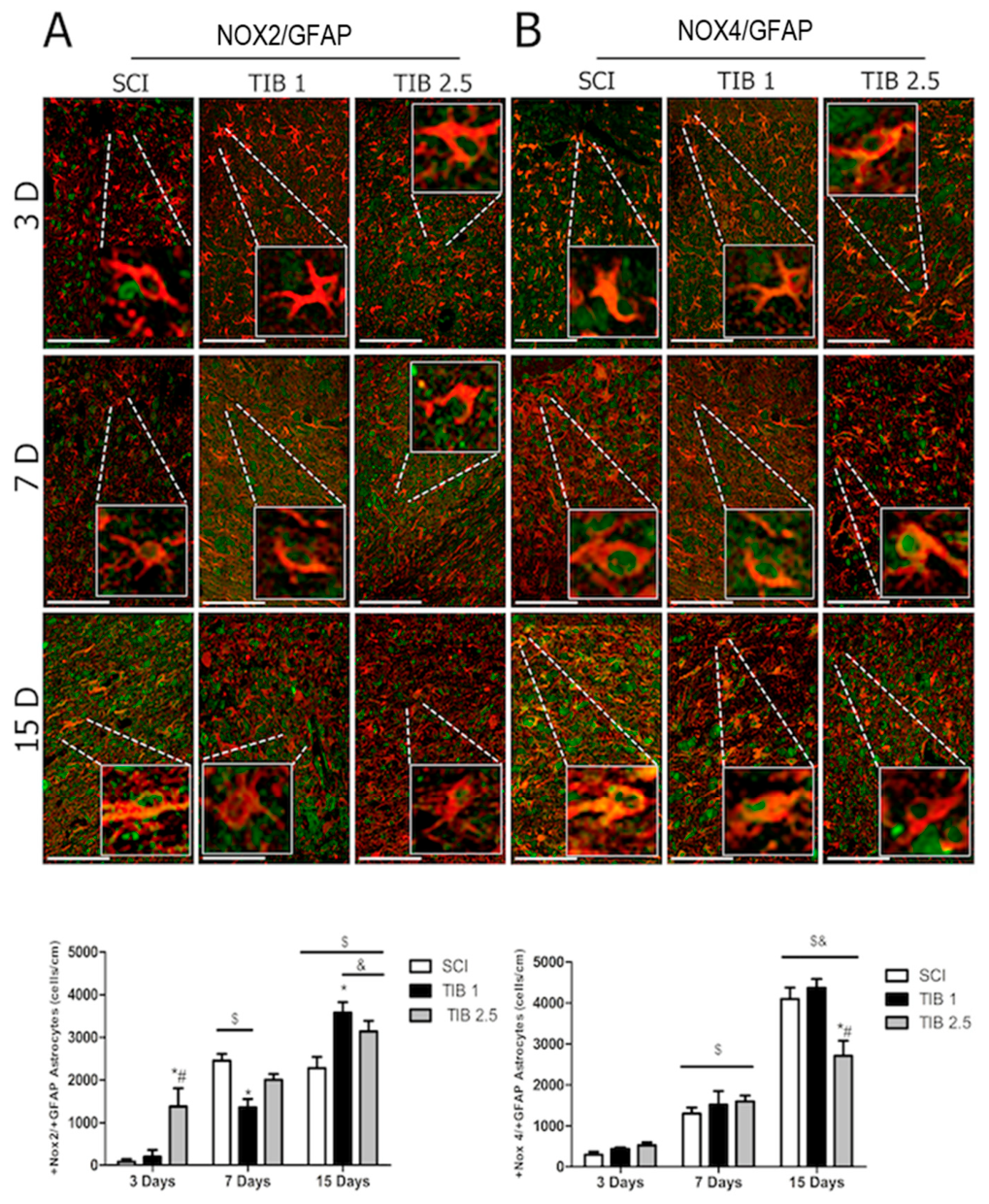 Brainsci 16 00711 g004 Brainsci 16 00711 g004