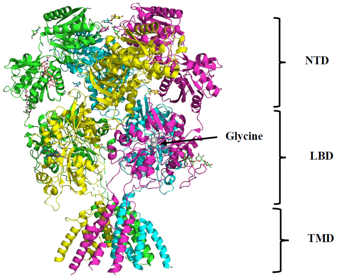 Brainsci 16 00786 g001 Brainsci 16 00786 g001