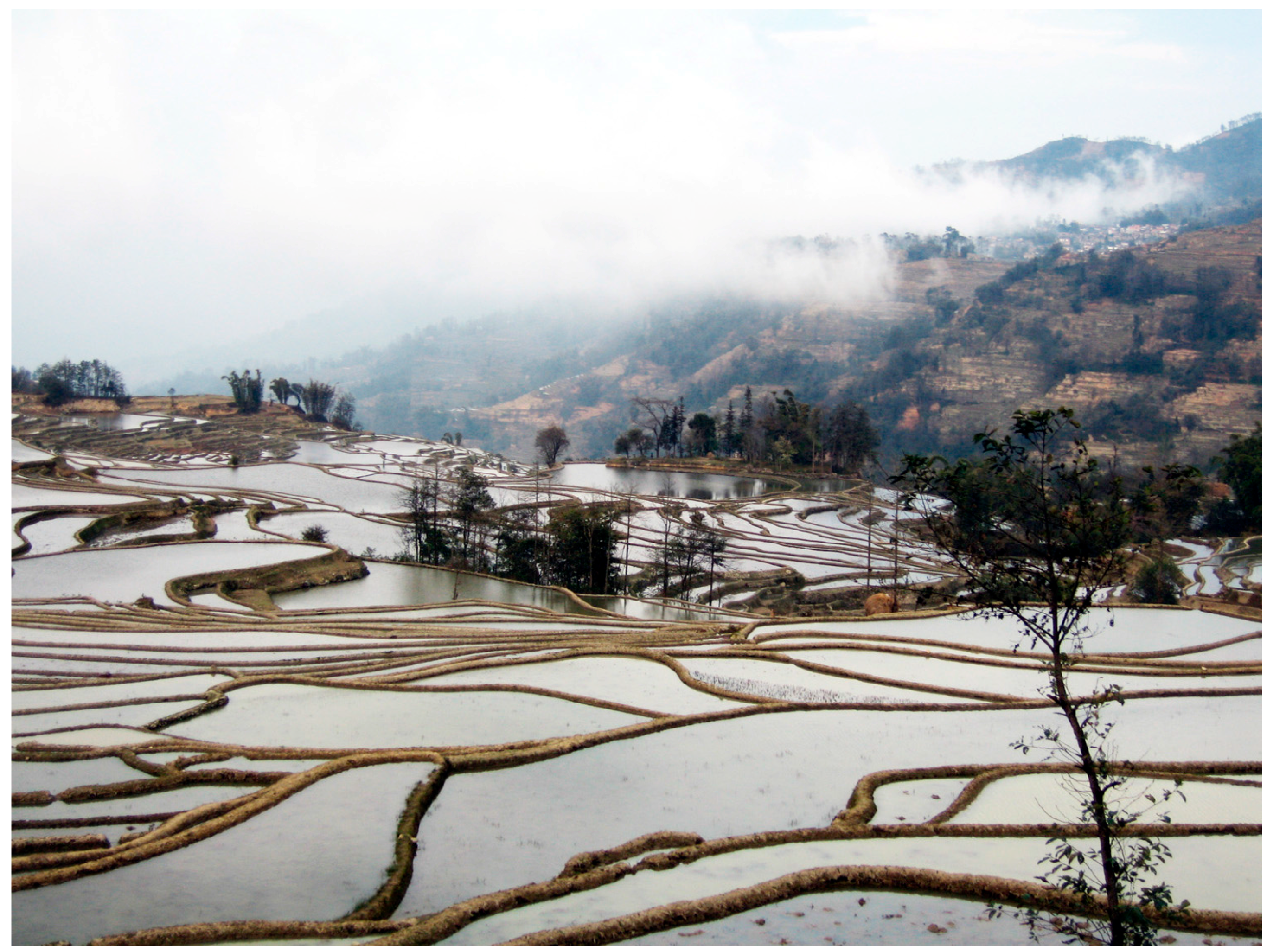 Buildings 06 00047 g001