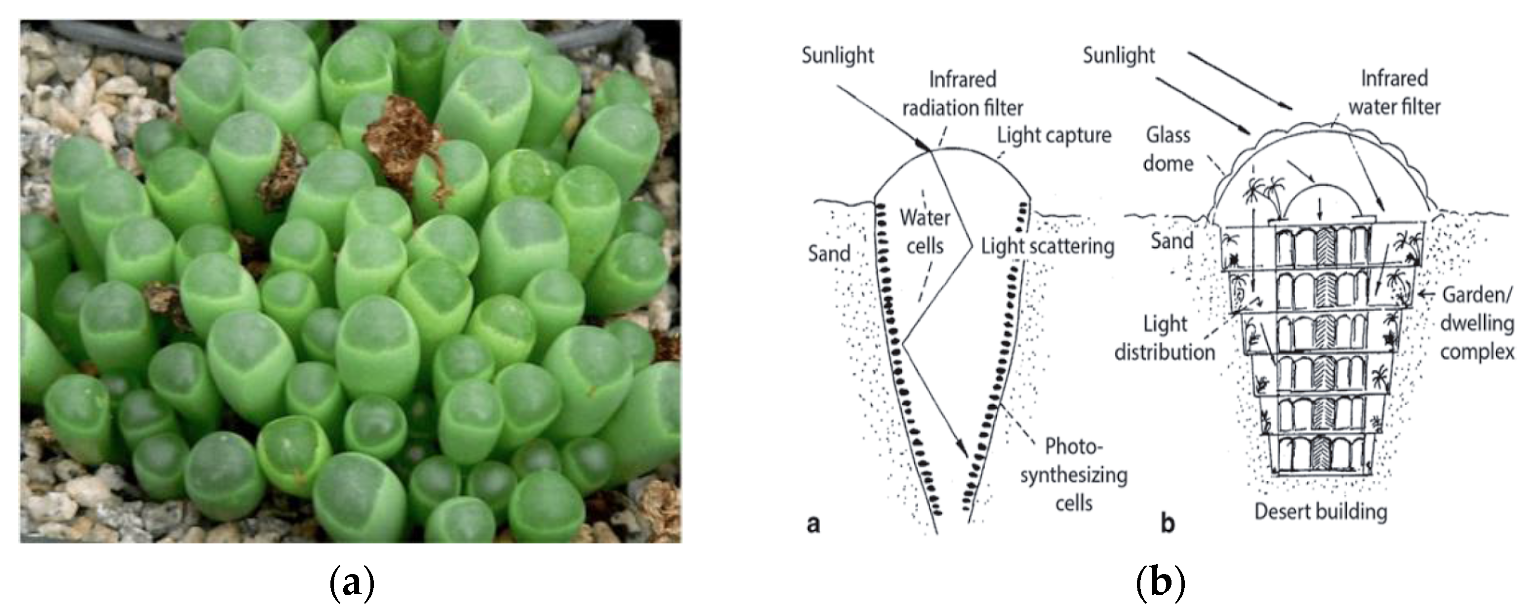 Buildings 07 00019 g003 550